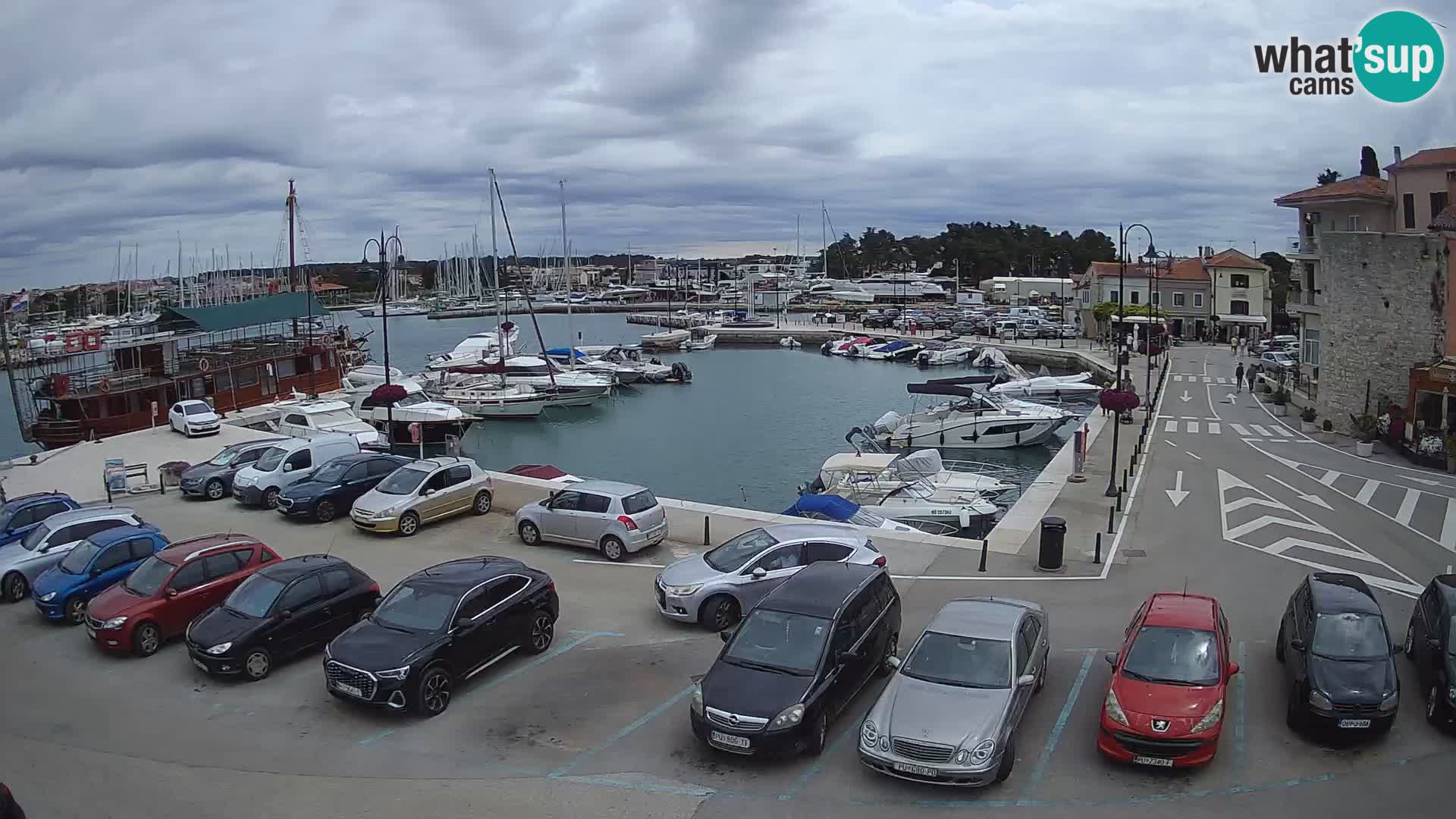 Novigrad | Porporela marina