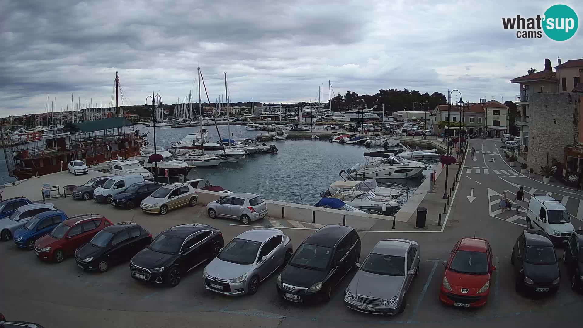 Novigrad | Porporela marina