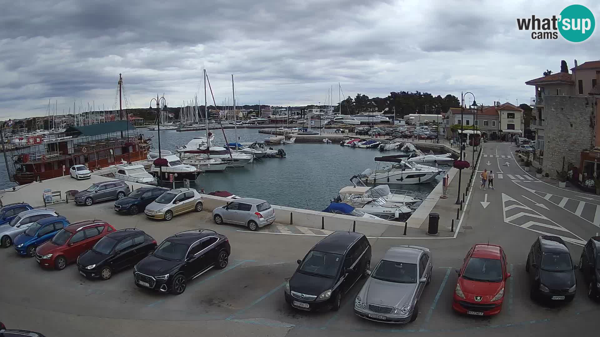 Novigrad | Porporela marina