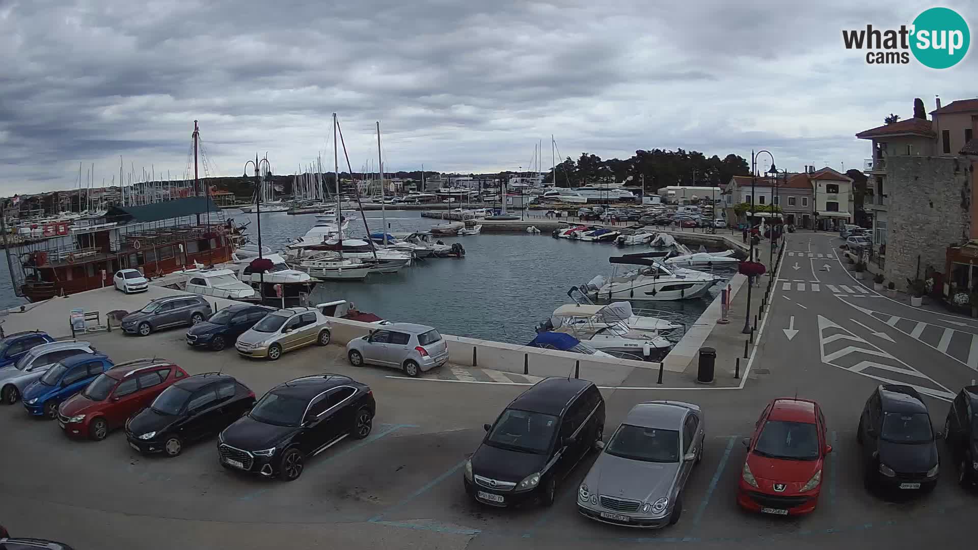 Novigrad | Porporela marina