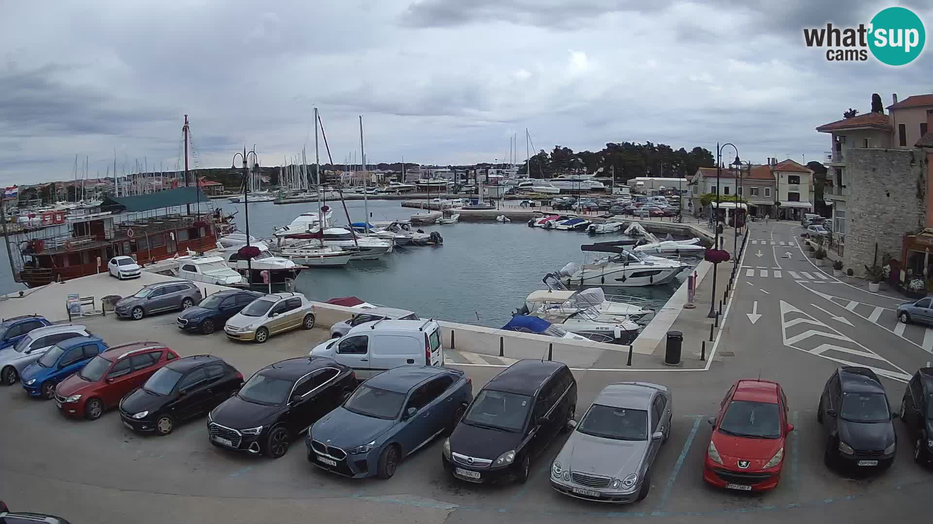 Novigrad | Porporela marina