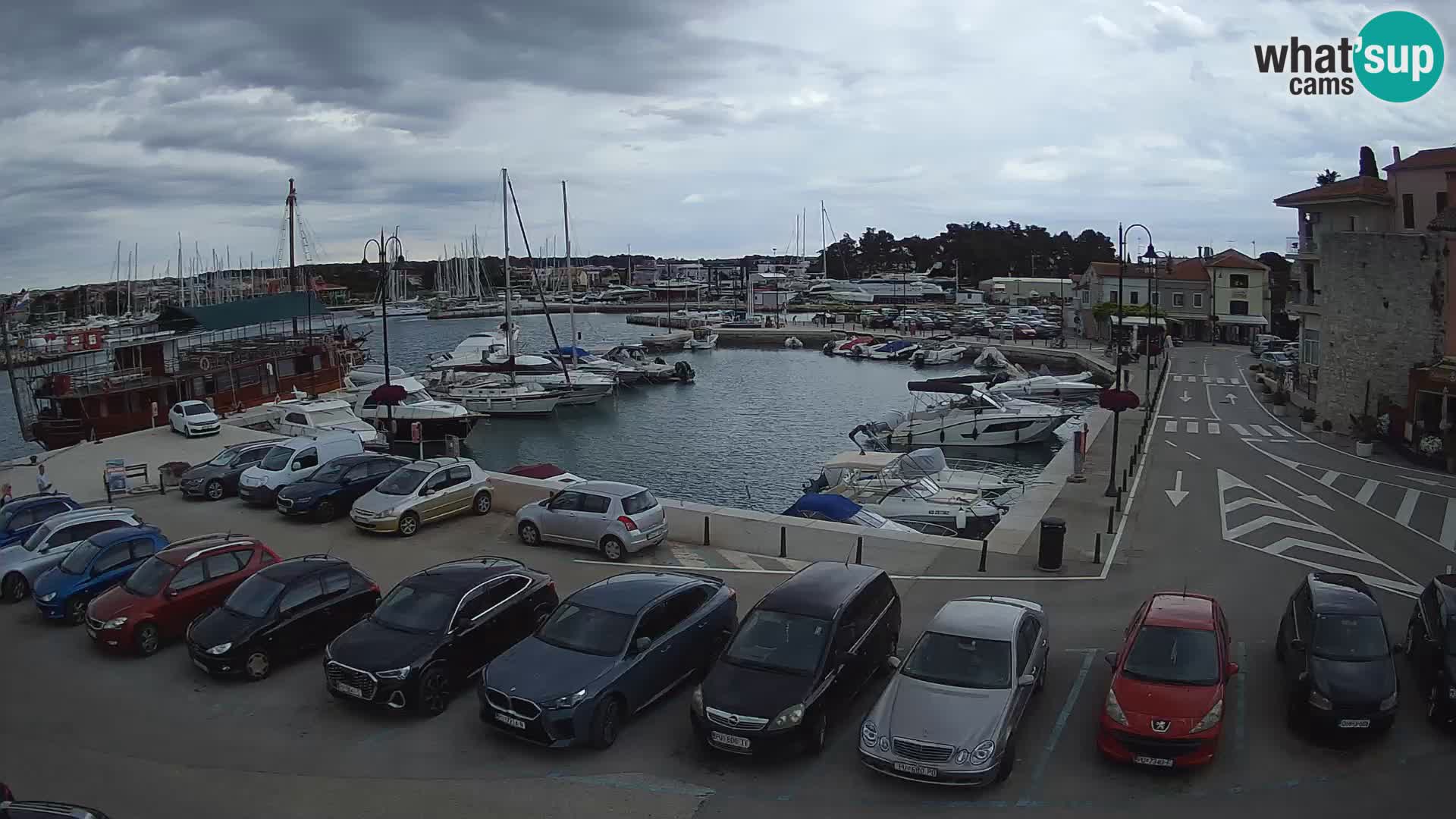 Novigrad | Porporela marina