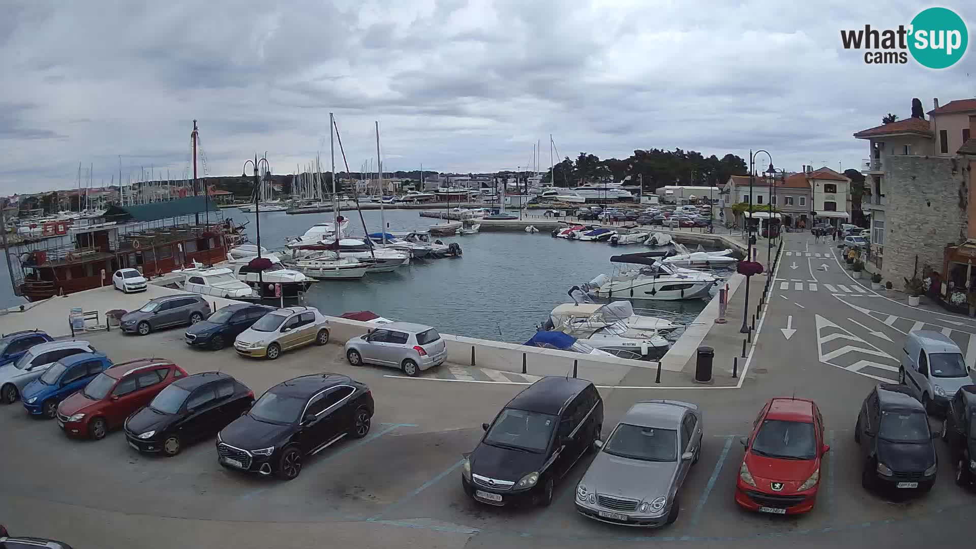 Novigrad | Porporela marina