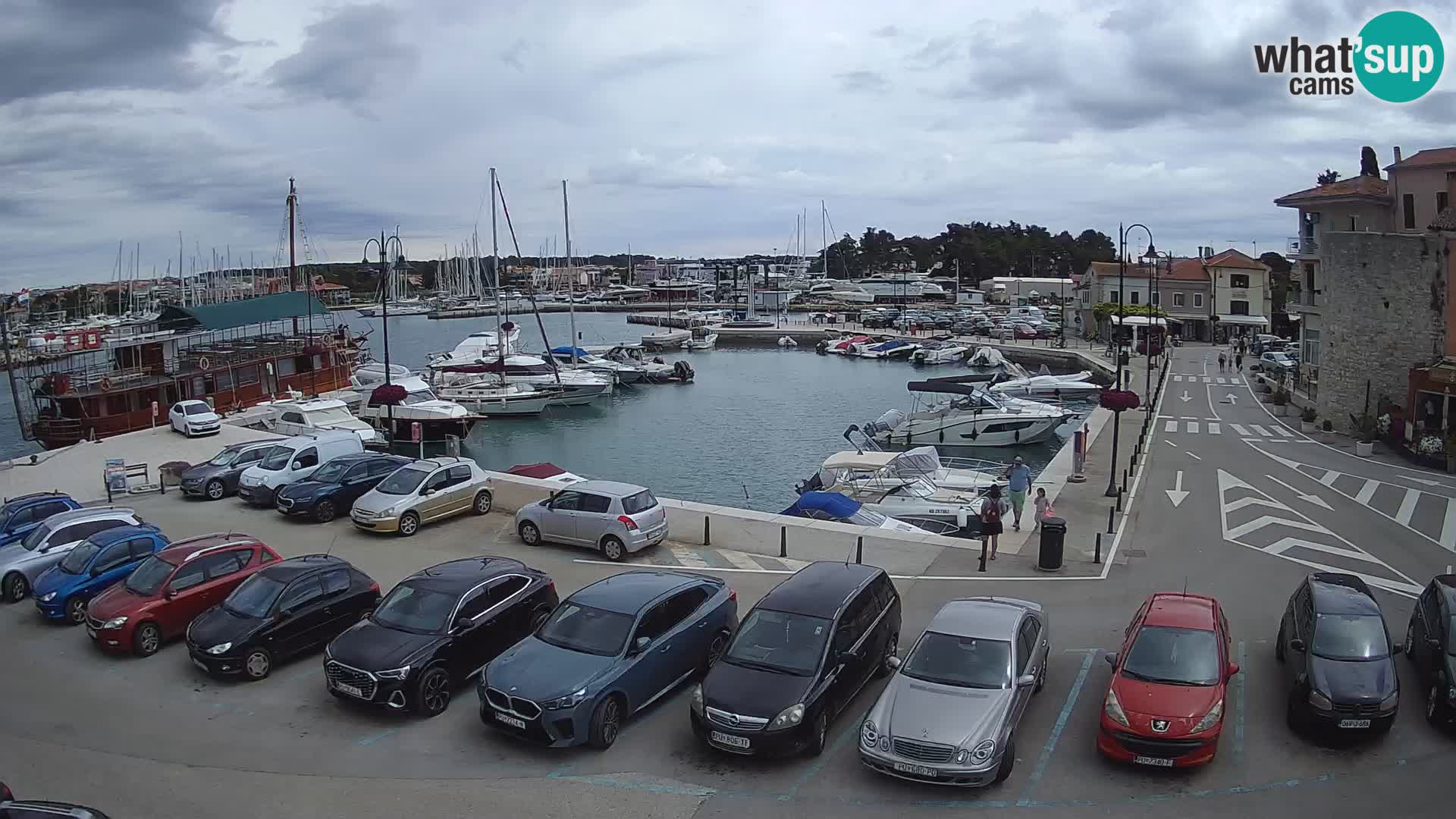 Novigrad | Porporela marina