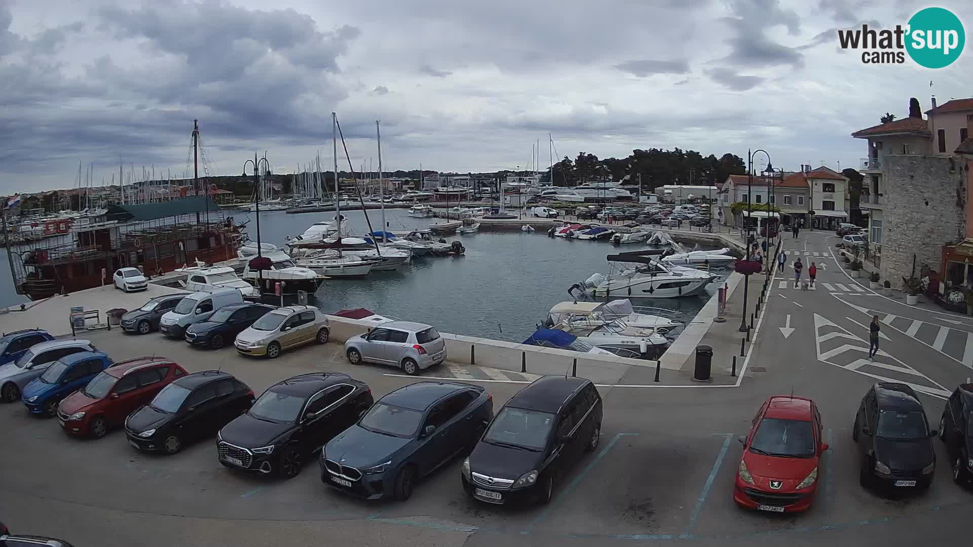 Novigrad | Porporela marina