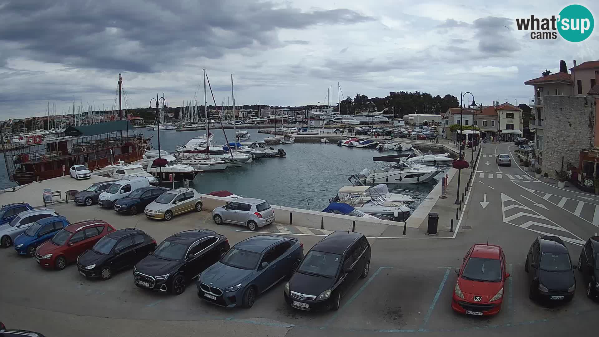 Novigrad | Porporela marina