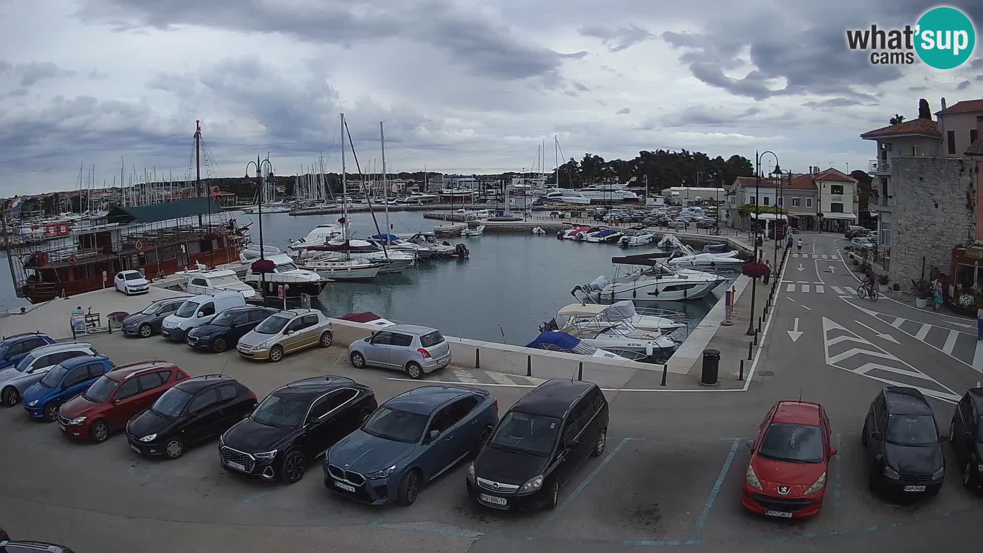 Novigrad | Porporela marina