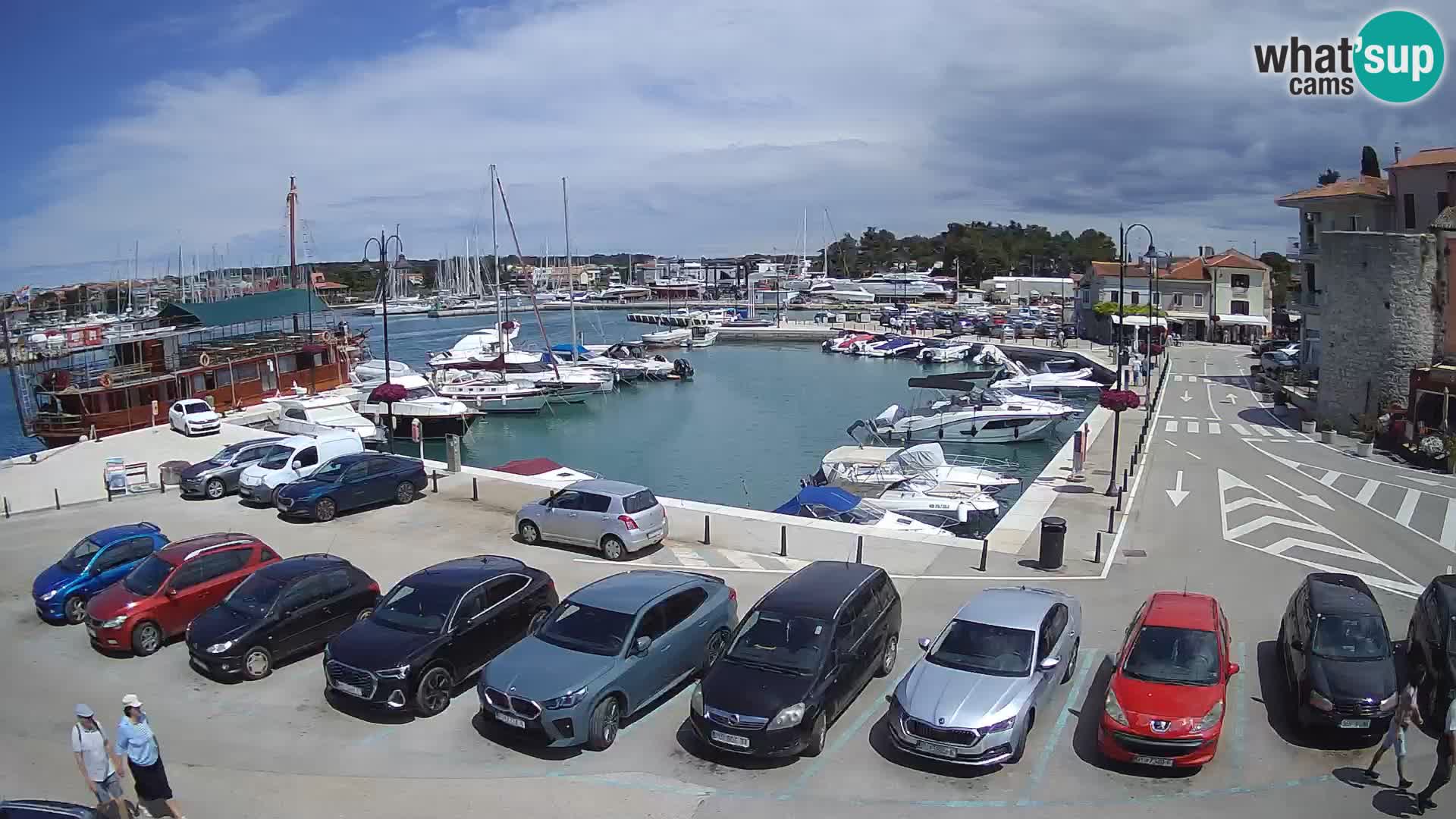 Novigrad | Porporela marina