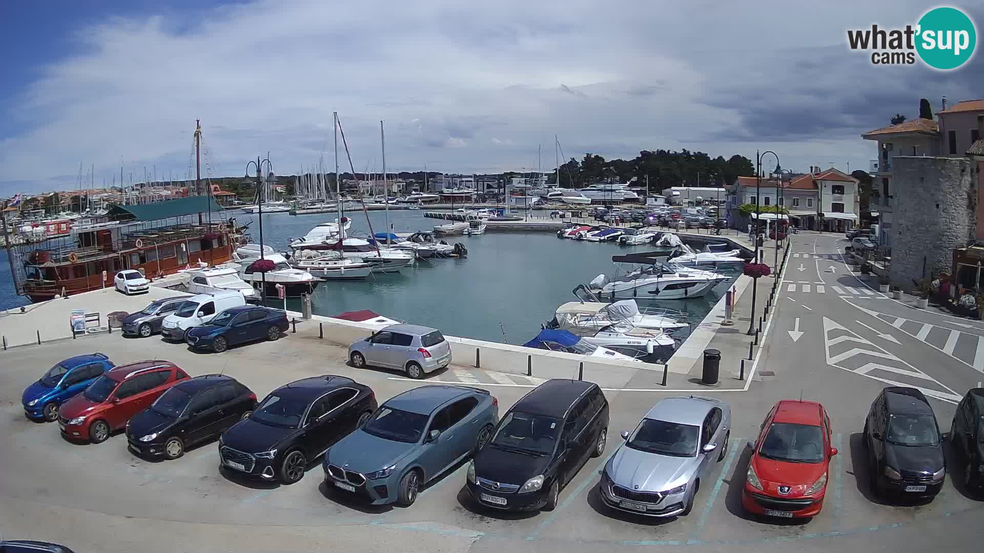 Novigrad | Porporela marina