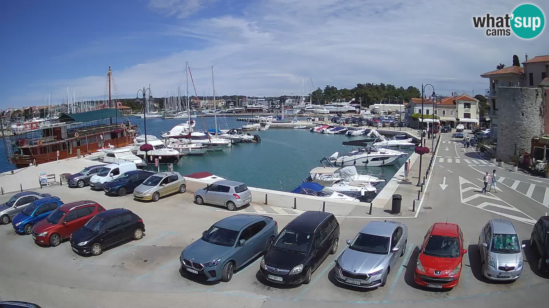 Novigrad | Porporela marina