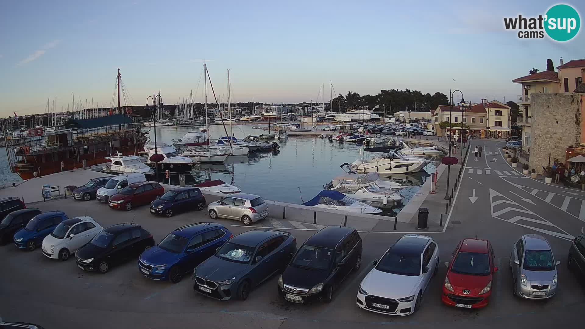 Novigrad | Porporela marina