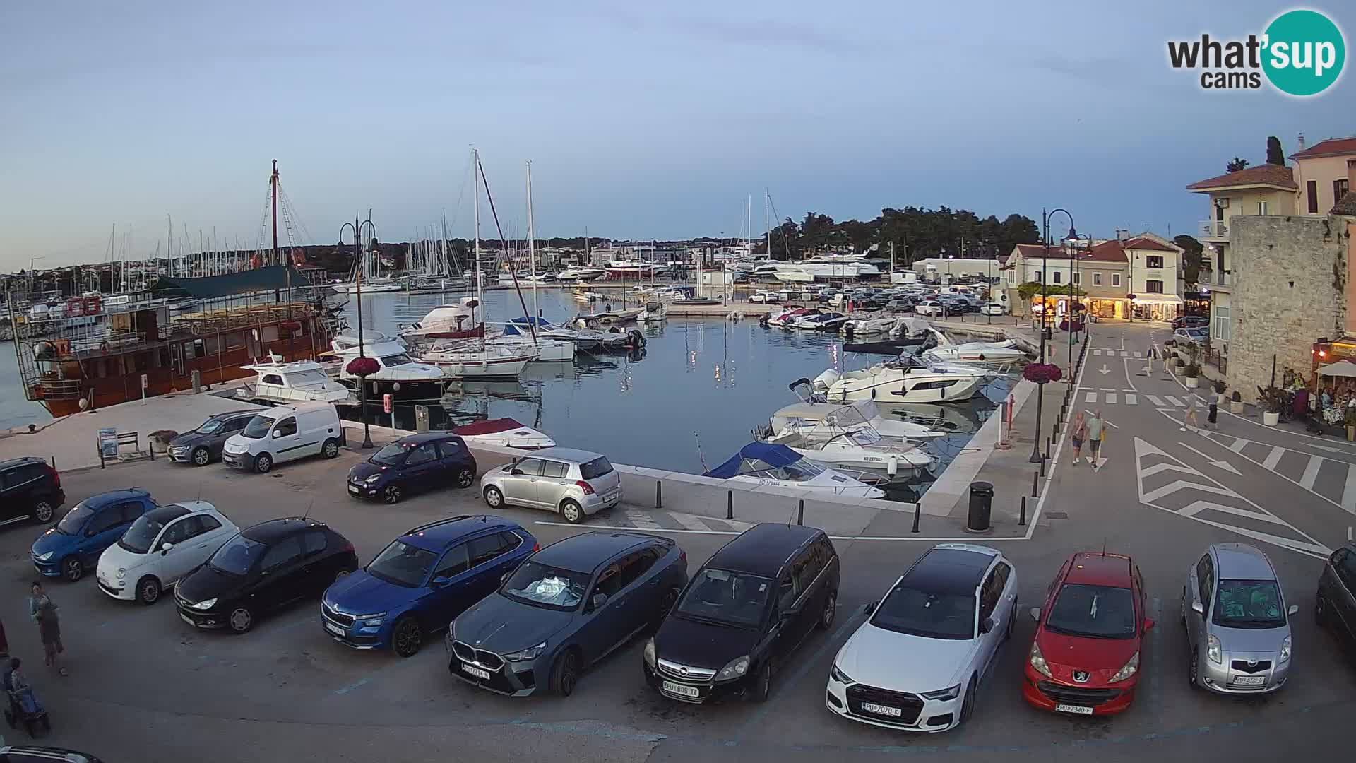 Novigrad | Porporela marina