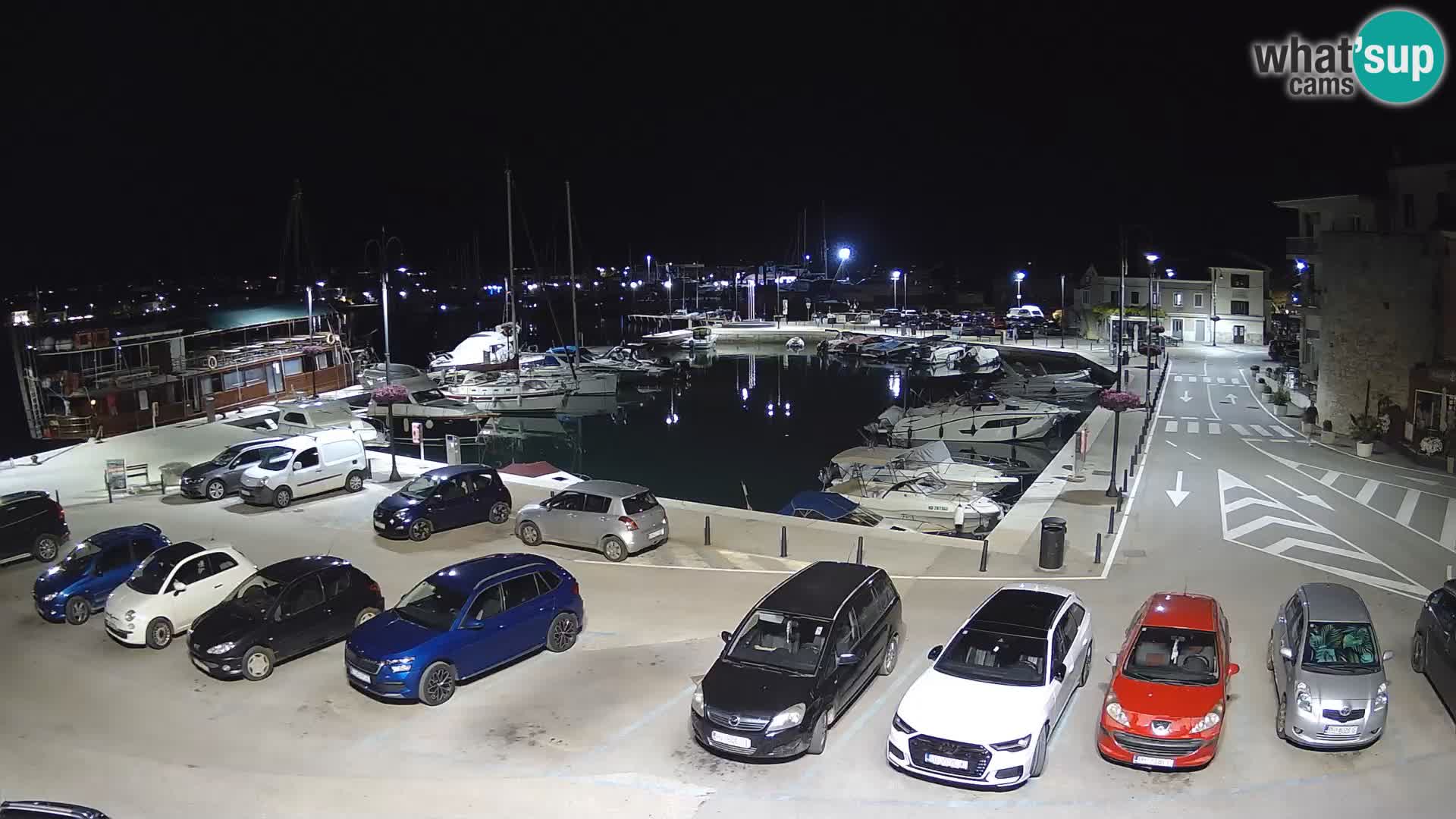 Novigrad | Porporela marina