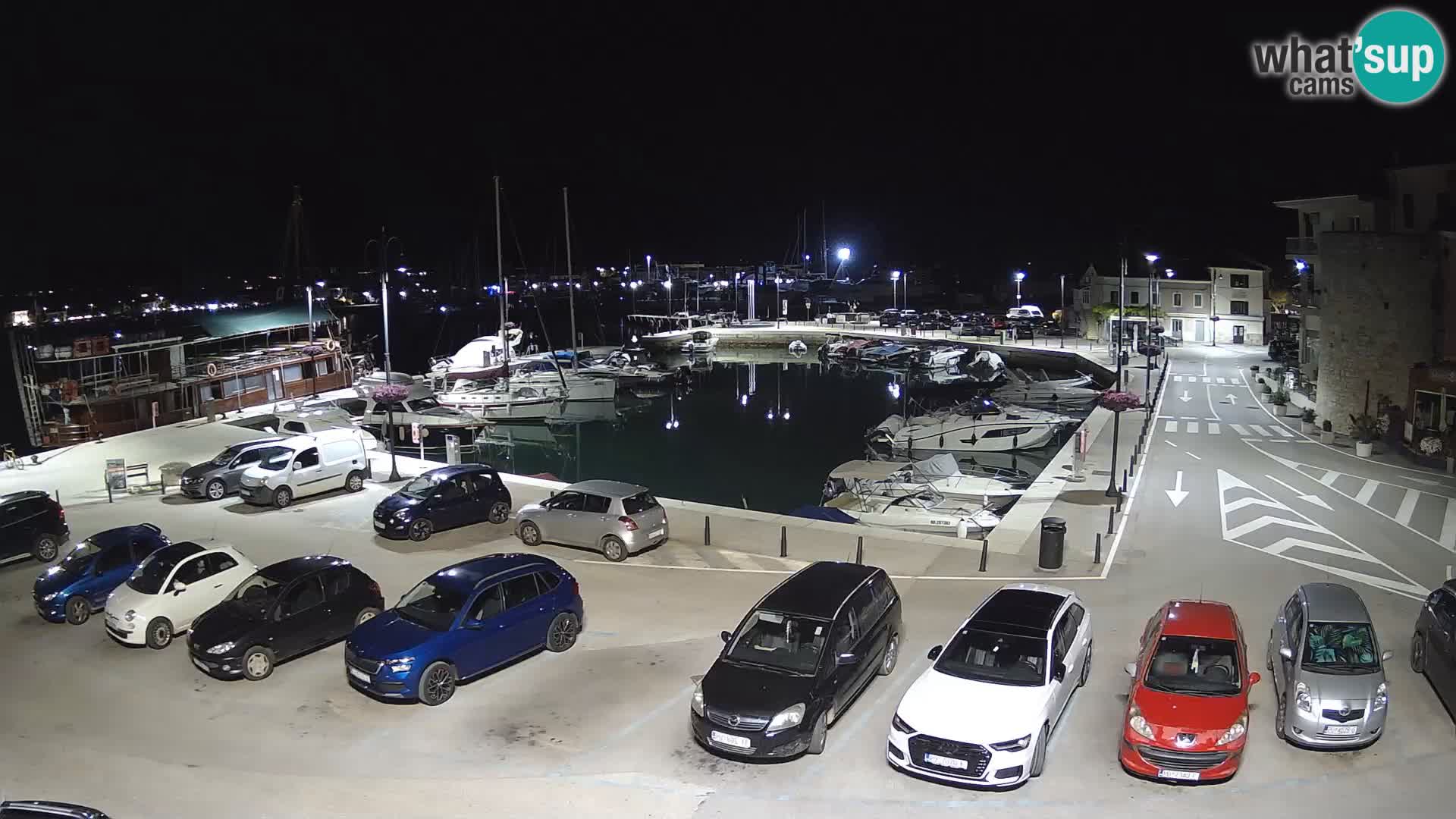 Novigrad | Porporela marina