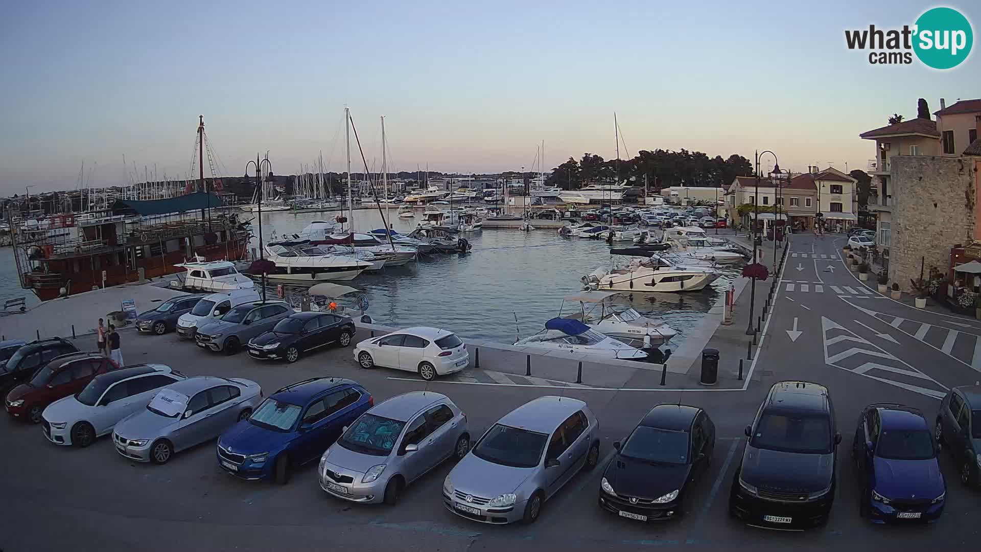 Novigrad | Porporela marina