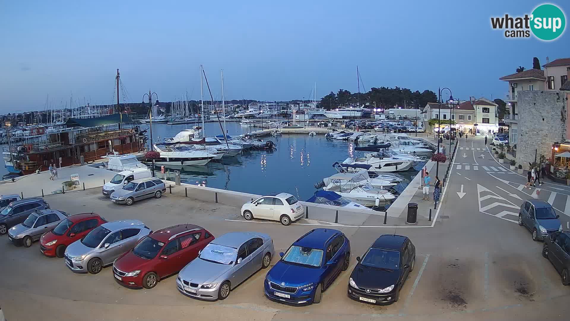 Novigrad | Porporela marina