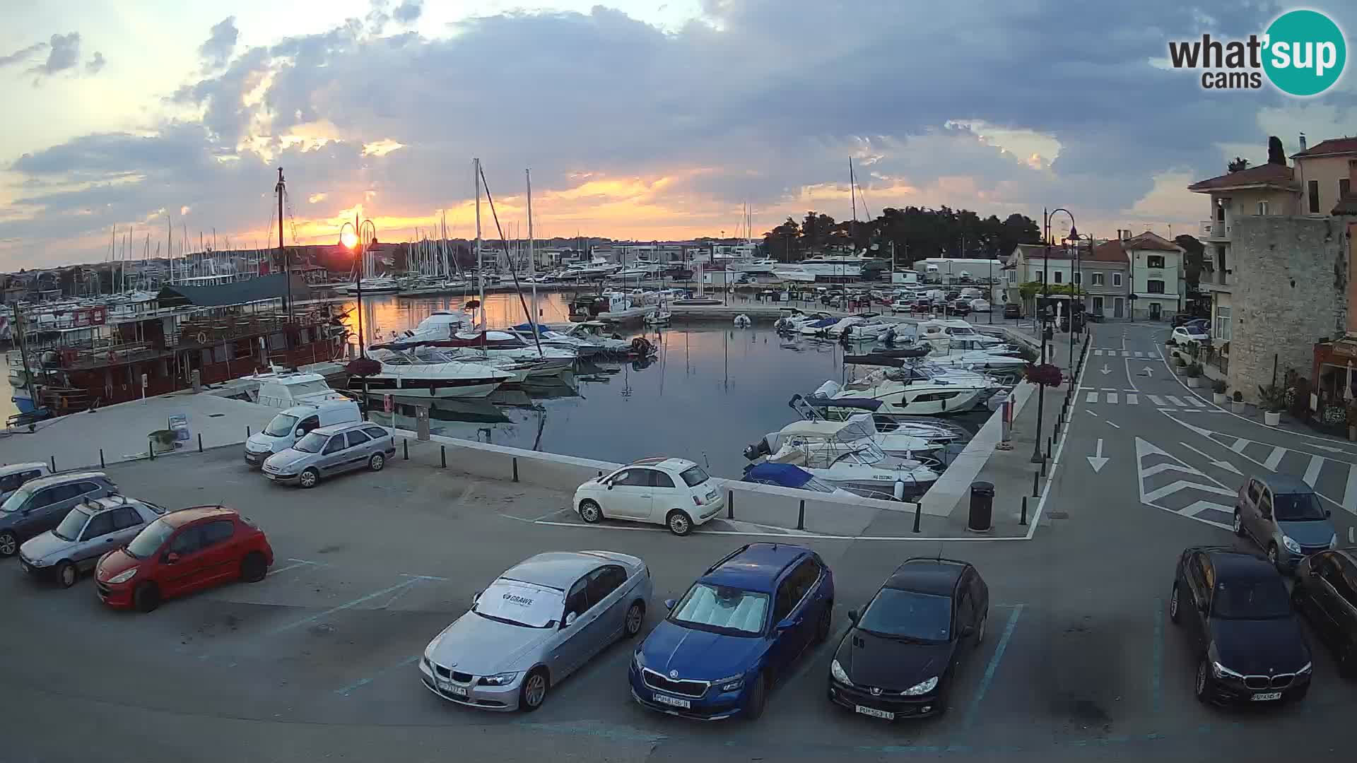 Novigrad | Porporela marina