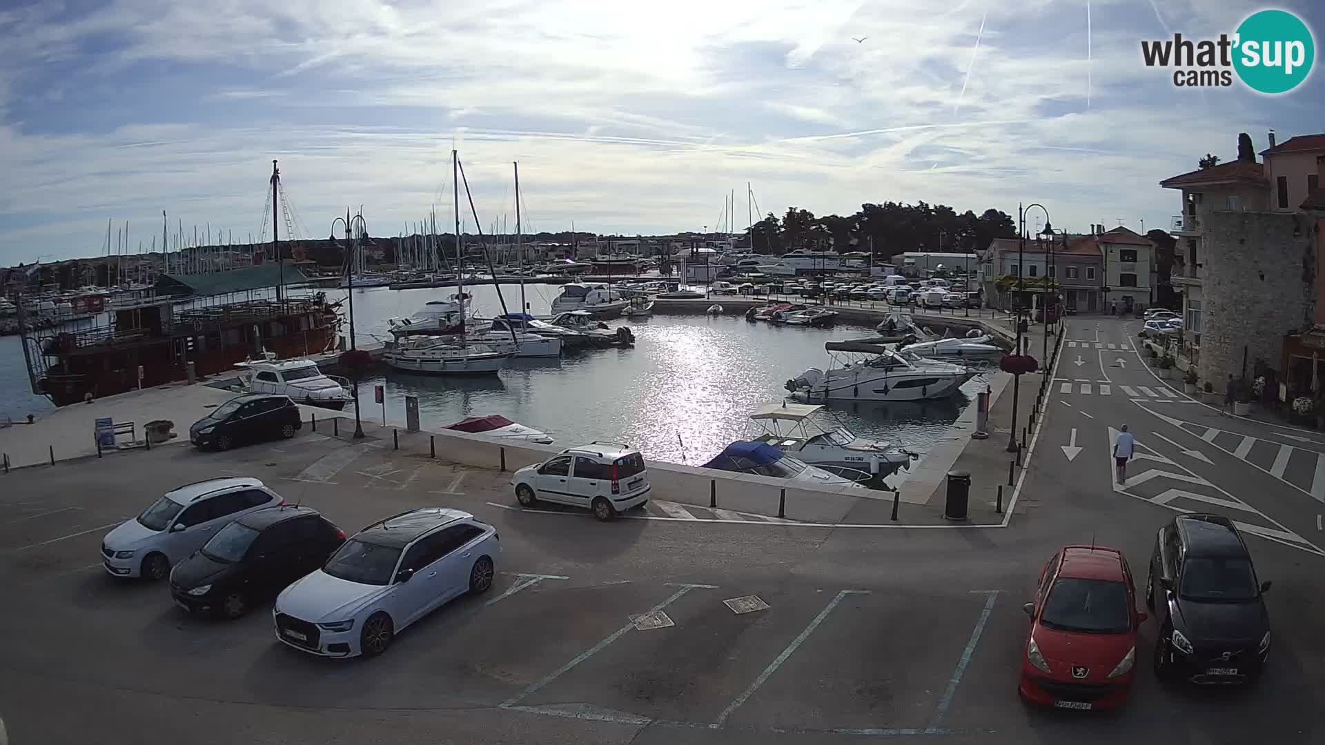 Novigrad | Porporela marina