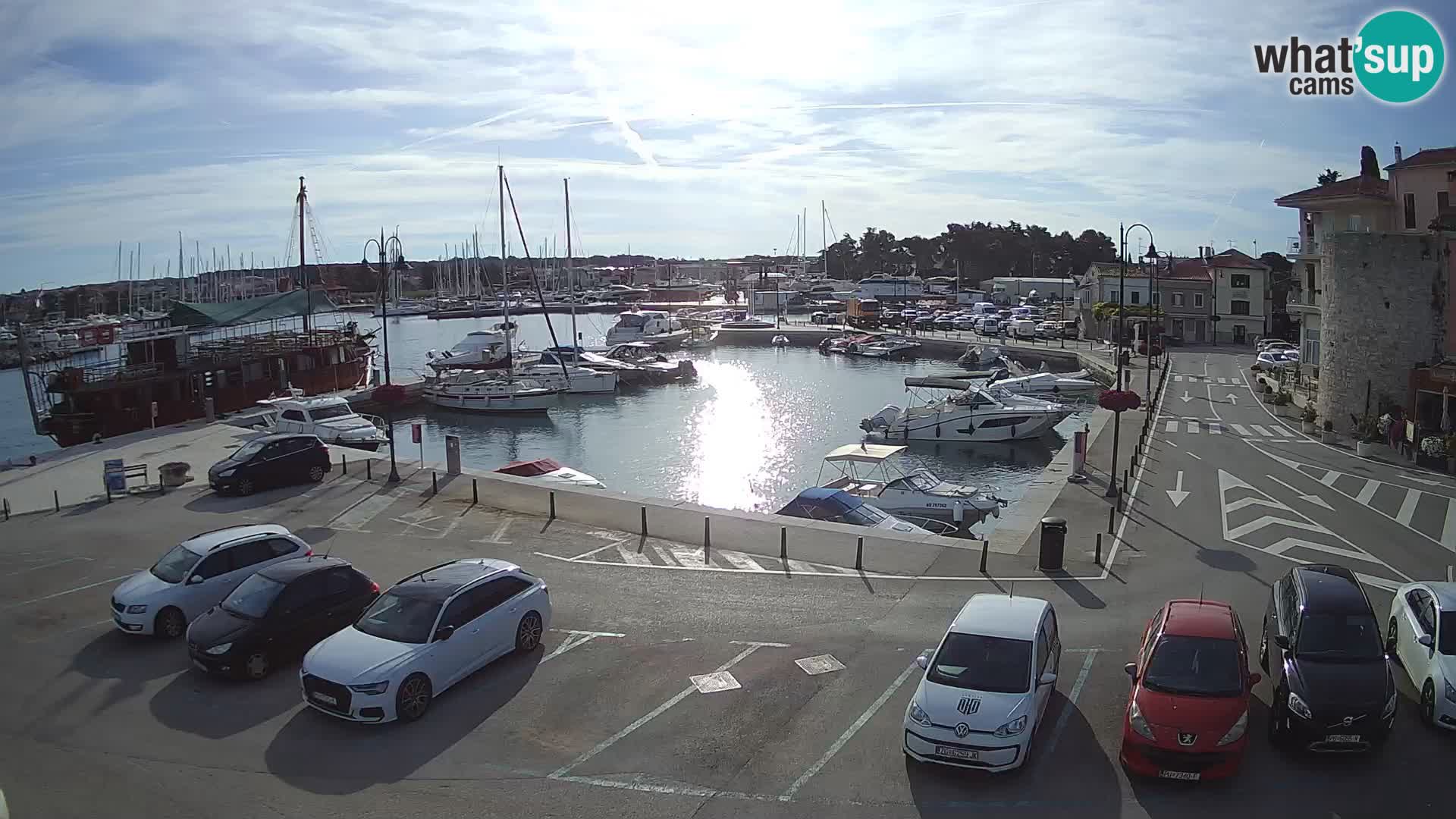 Novigrad | Porporela marina