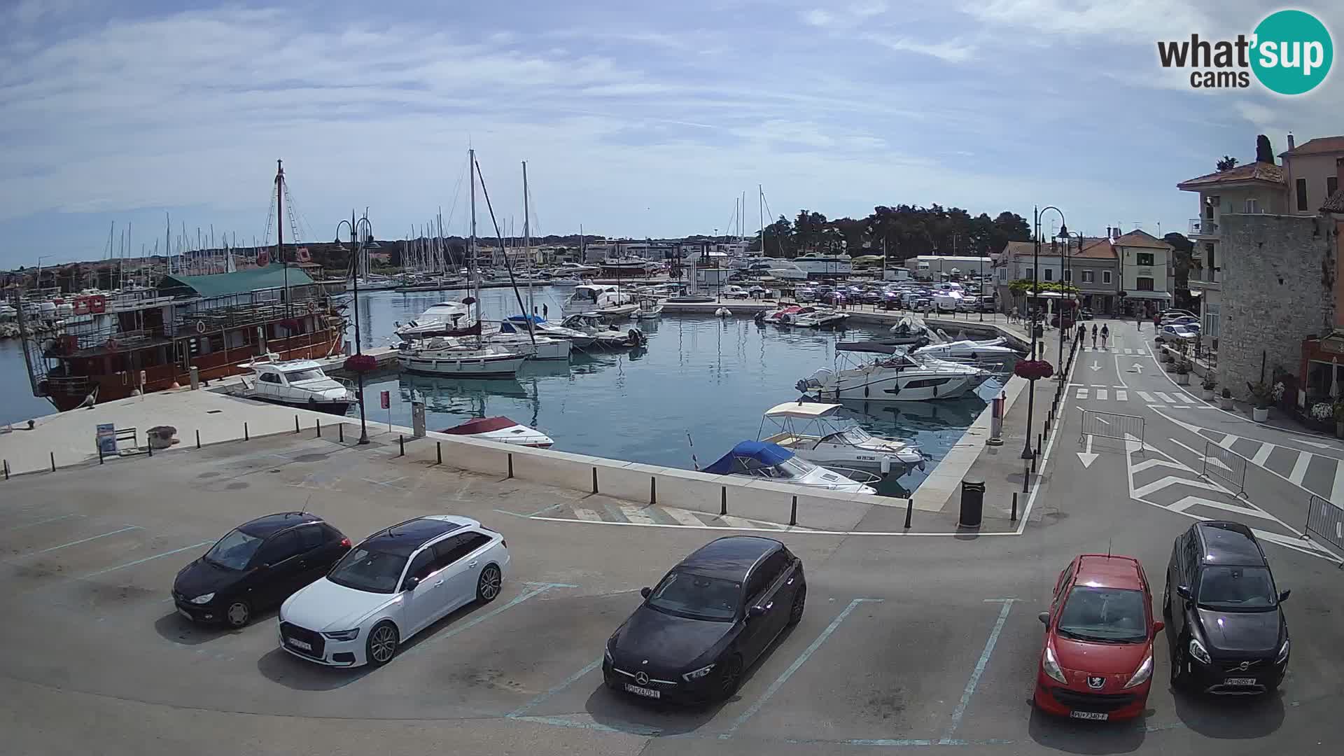 Novigrad | Porporela marina