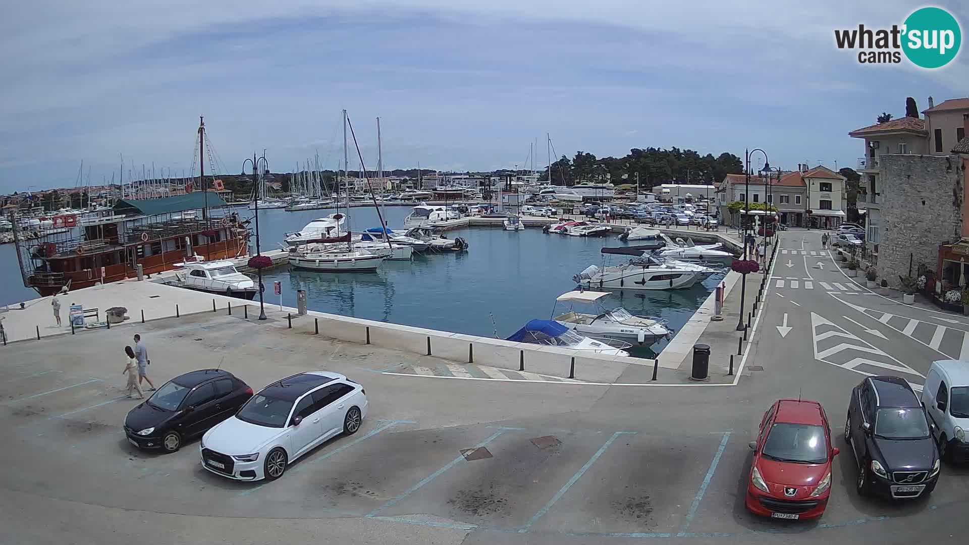 Novigrad | Porporela marina