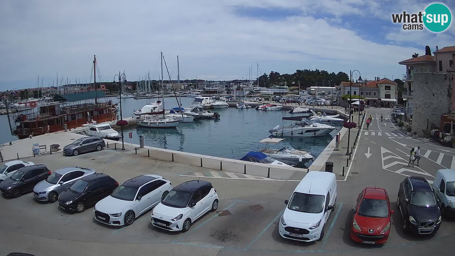 Novigrad | Porporela marina