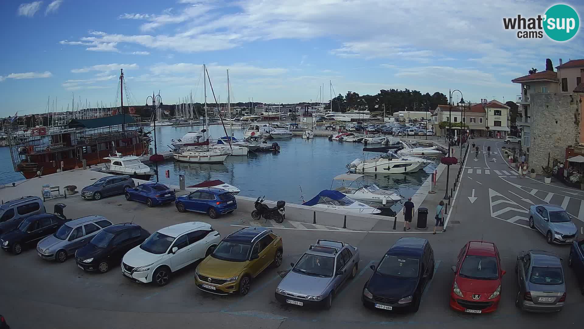 Novigrad | Porporela marina