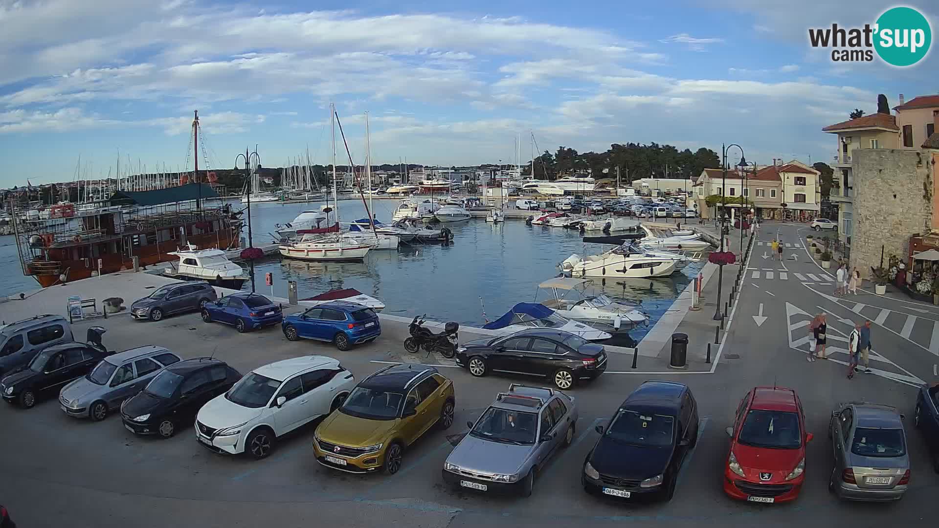 Novigrad | Porporela marina