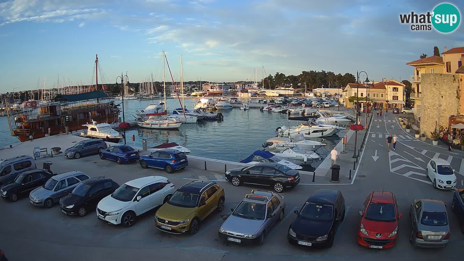 Novigrad | Porporela marina