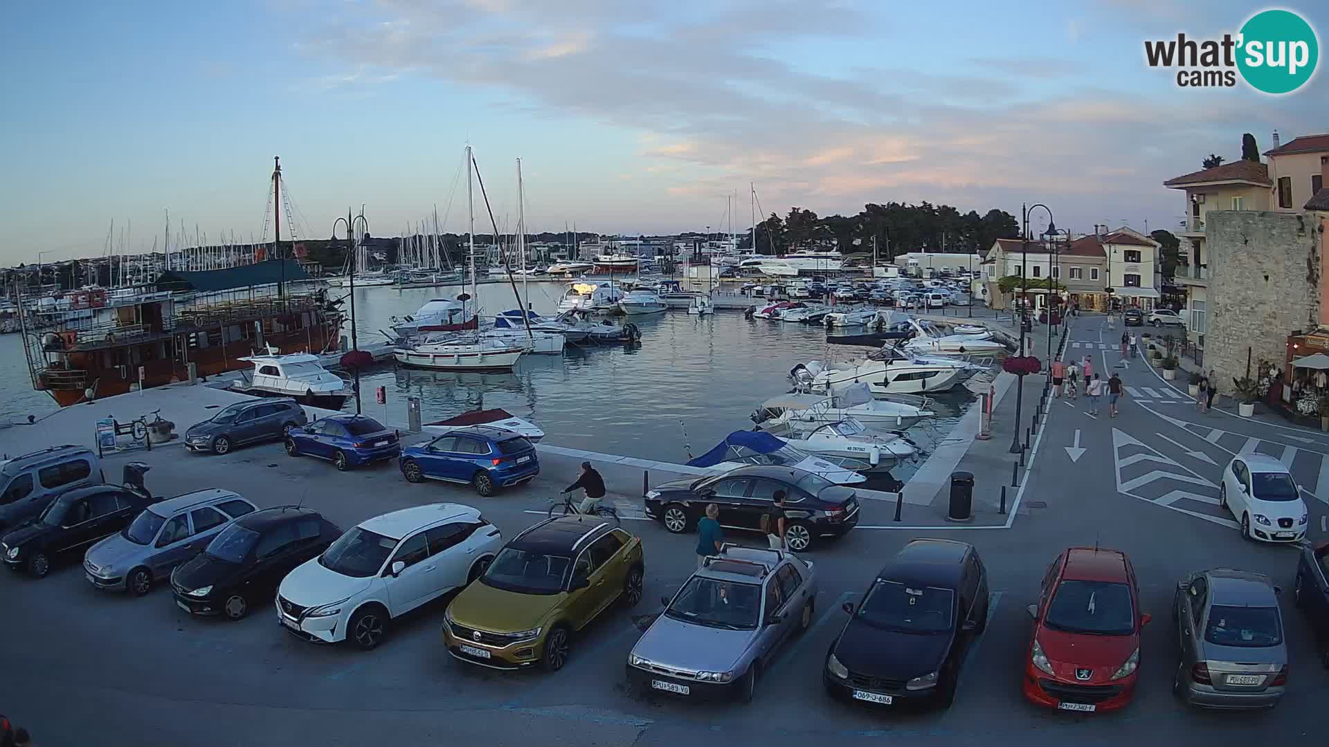 Novigrad | Porporela marina