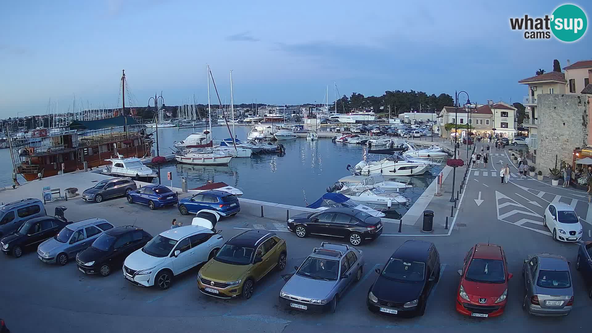 Novigrad | Porporela marina