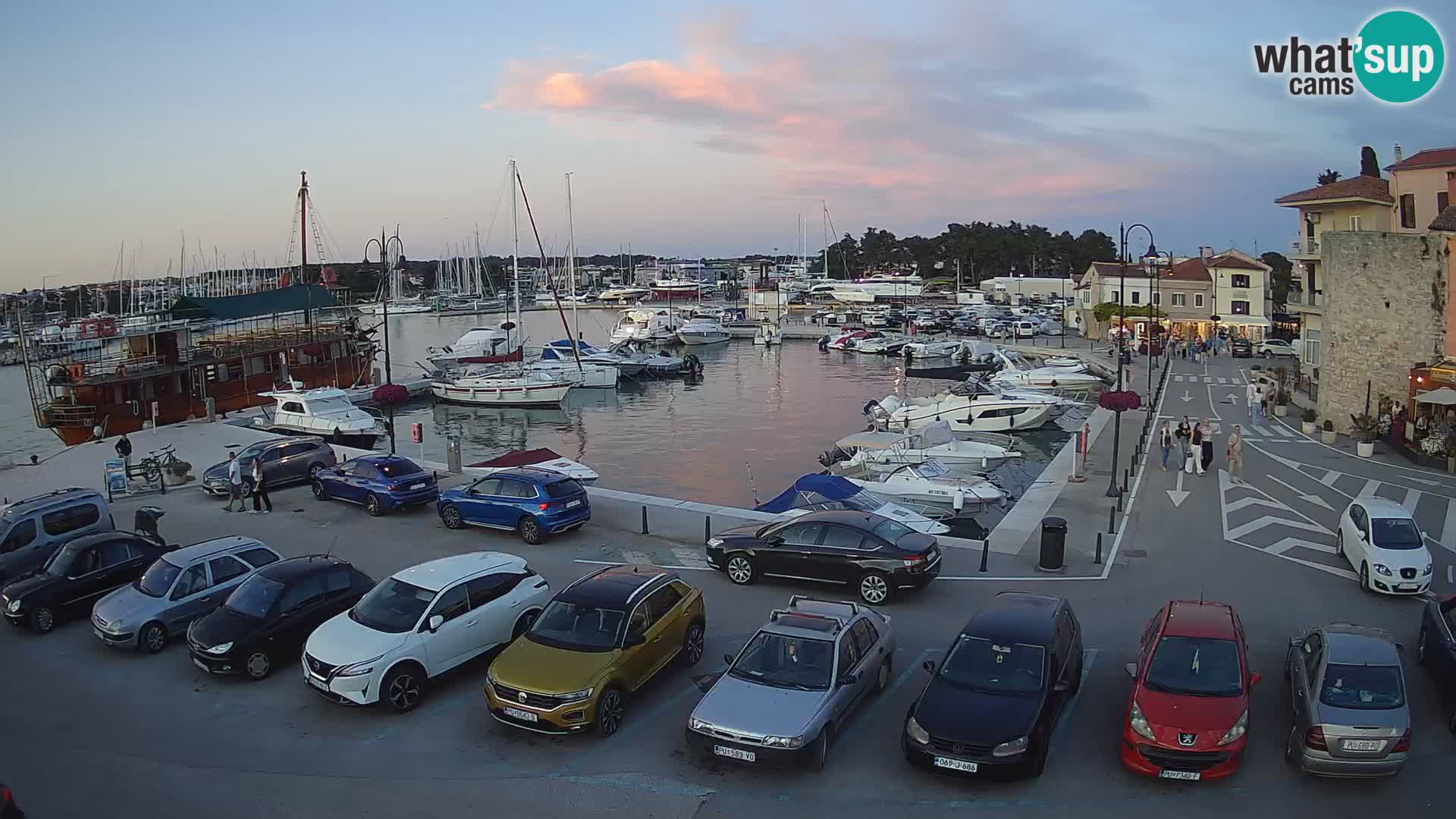 Novigrad | Porporela marina
