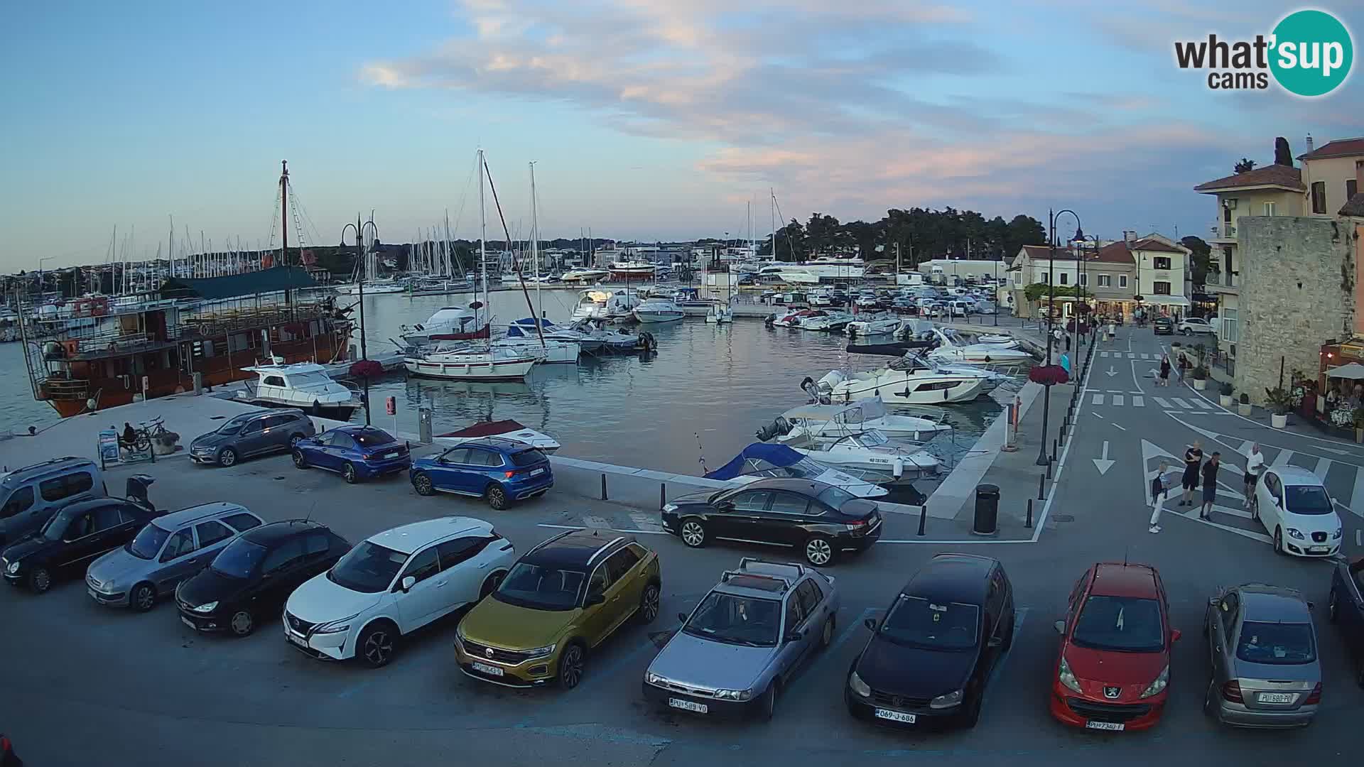 Novigrad | Porporela marina