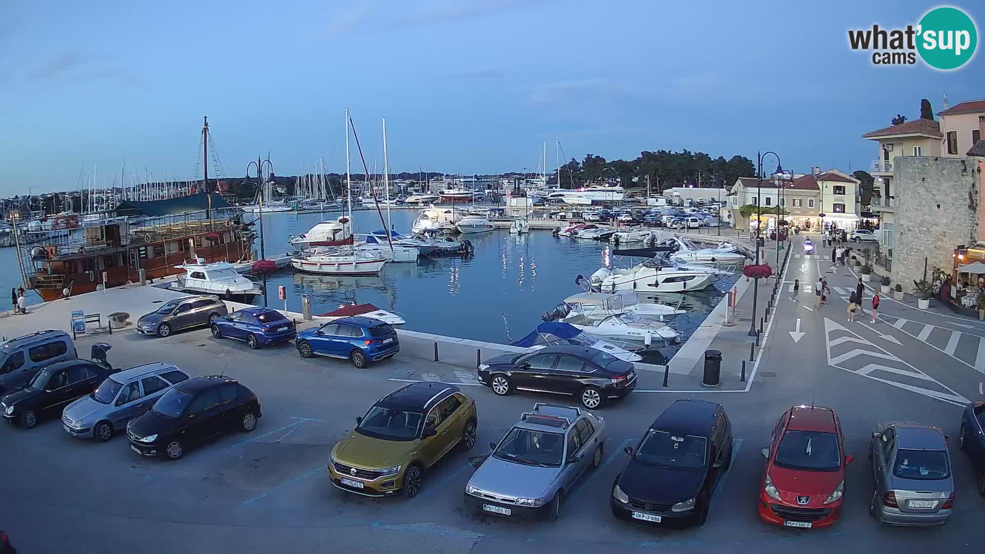 Novigrad | Porporela marina