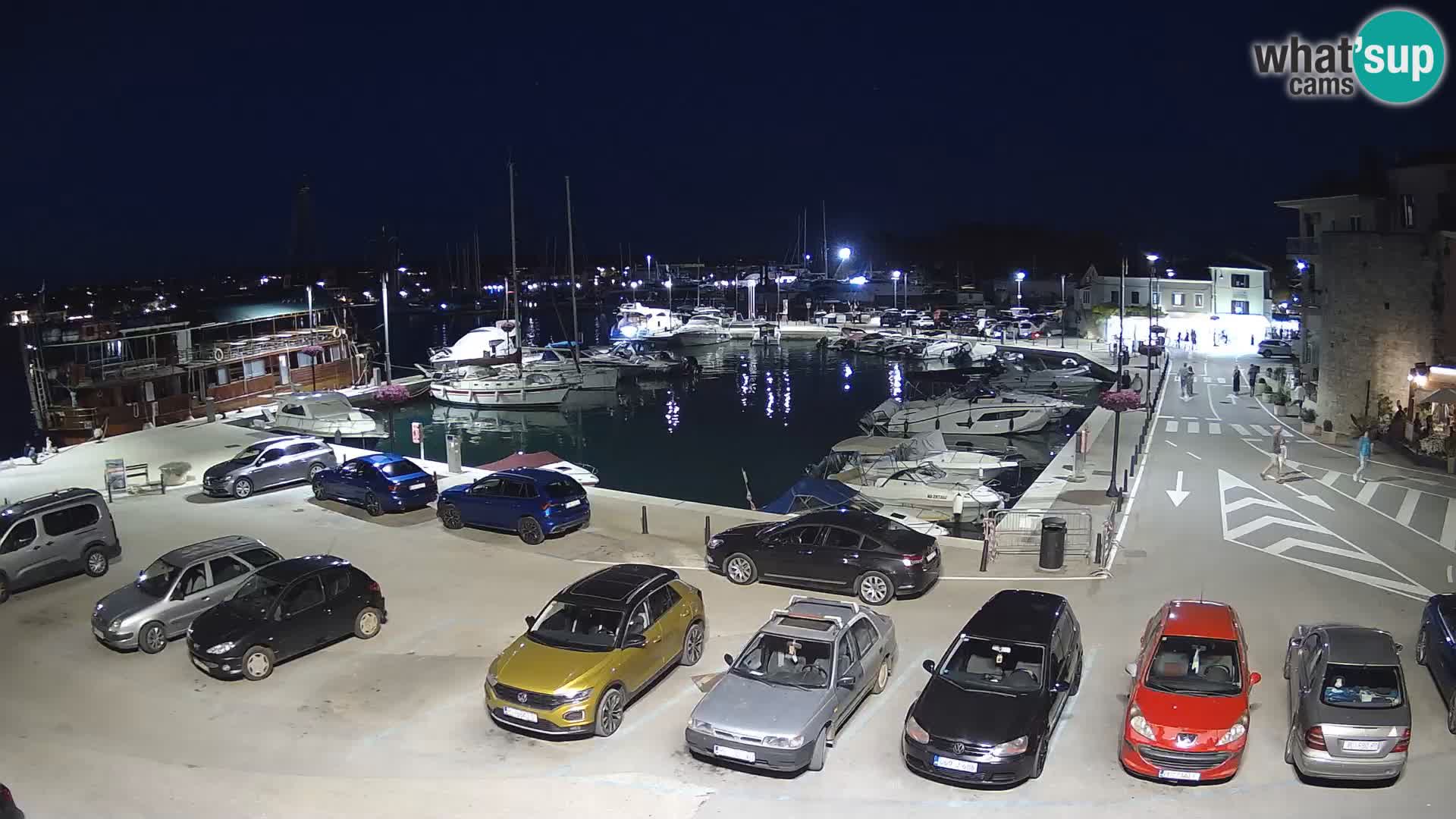 Novigrad | Porporela marina