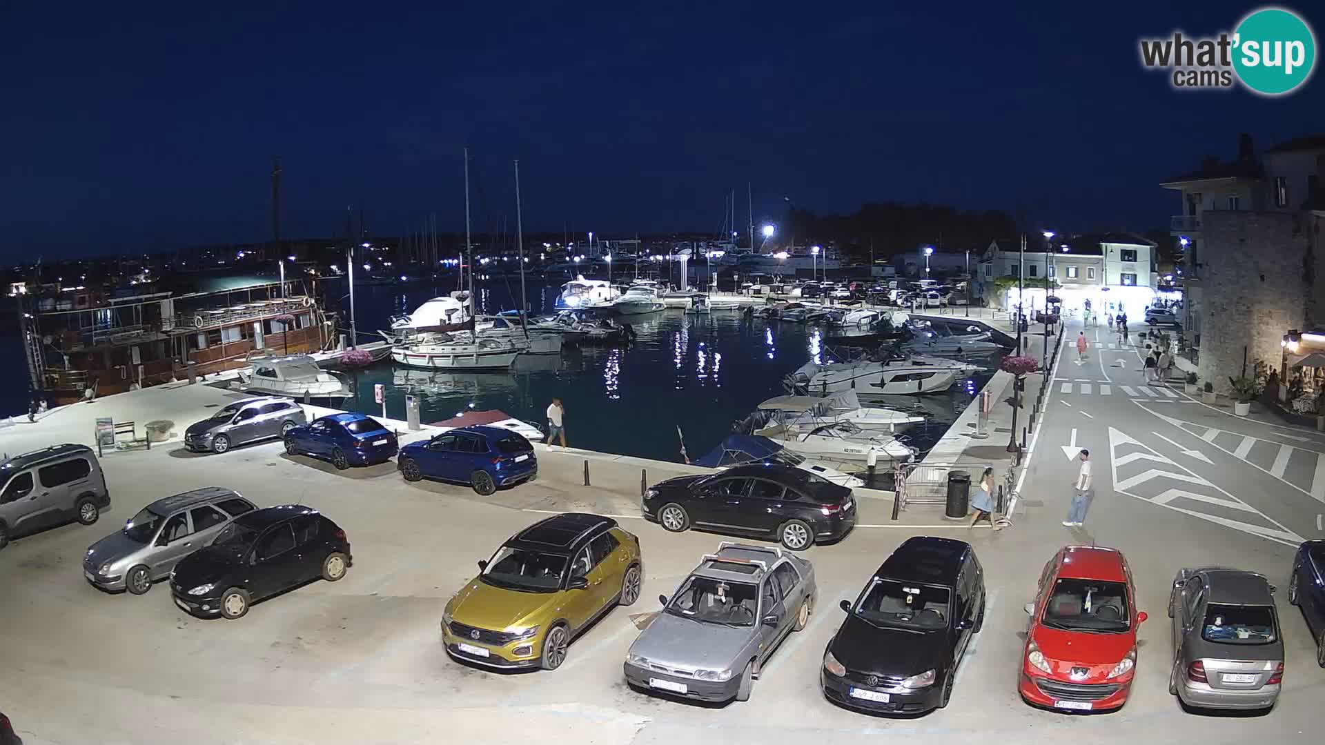 Novigrad | Porporela marina