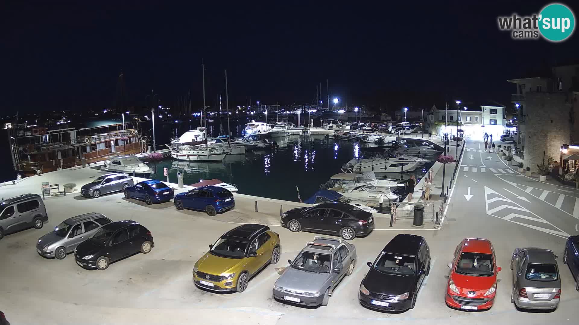 Novigrad | Porporela marina
