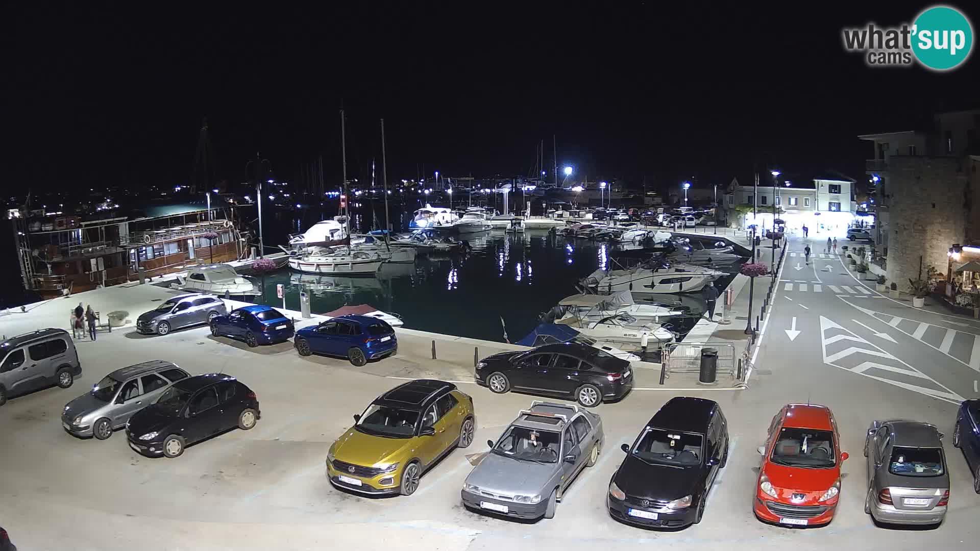 Novigrad | Porporela marina