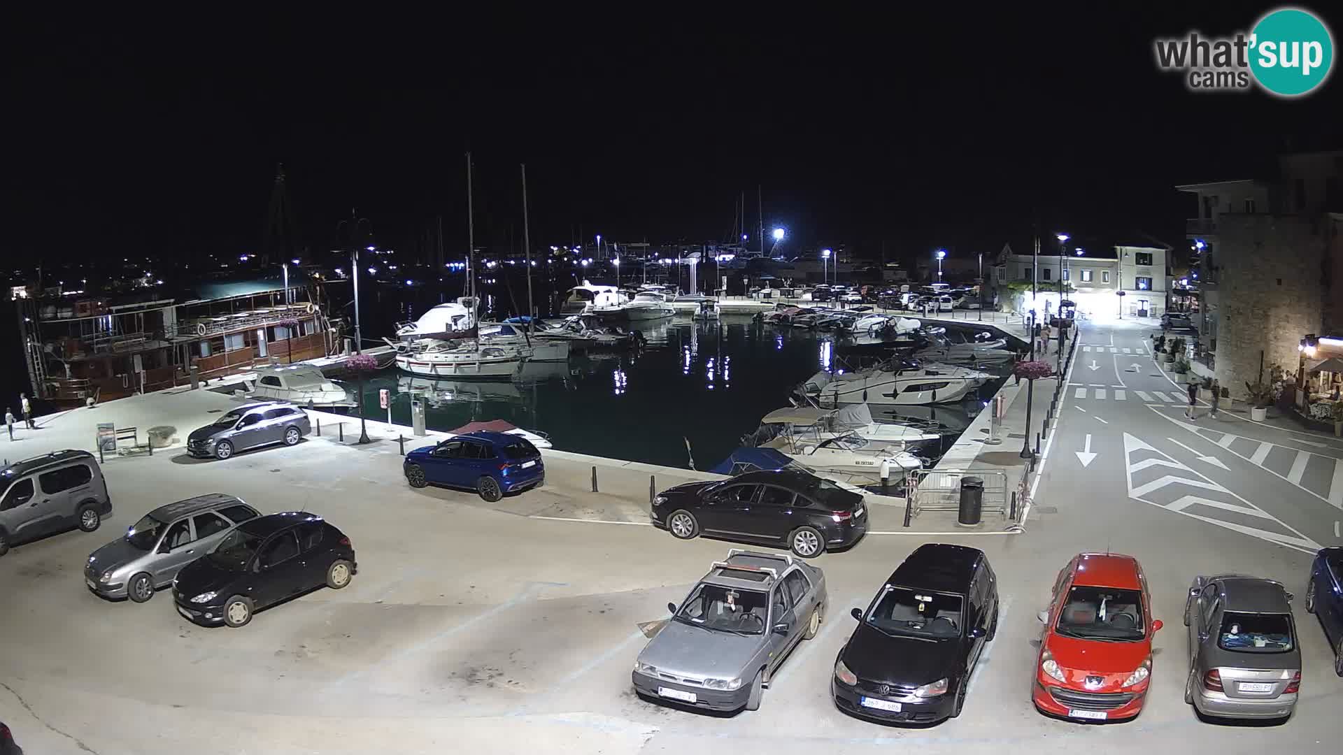 Novigrad | Porporela marina
