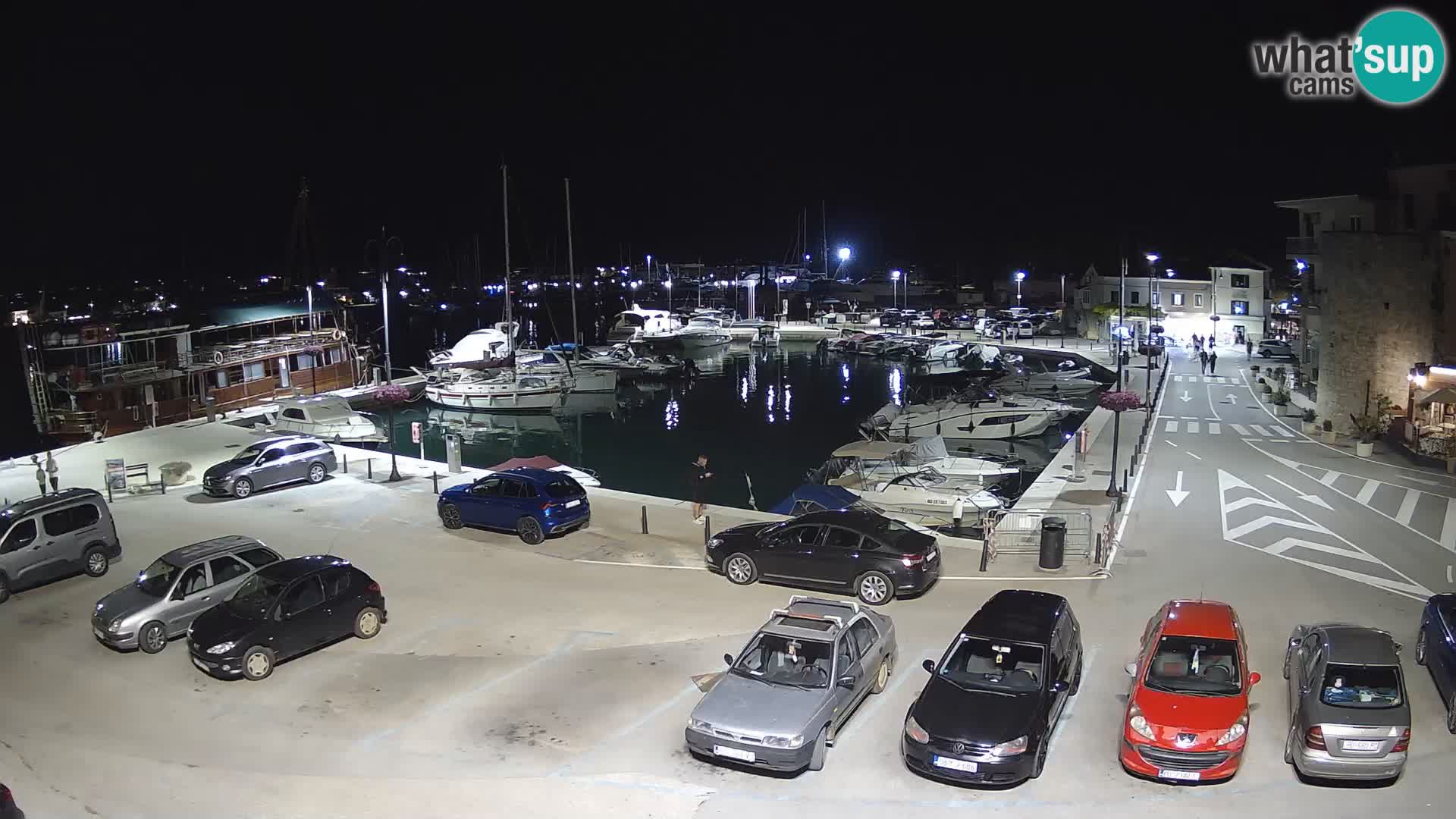 Novigrad | Porporela marina