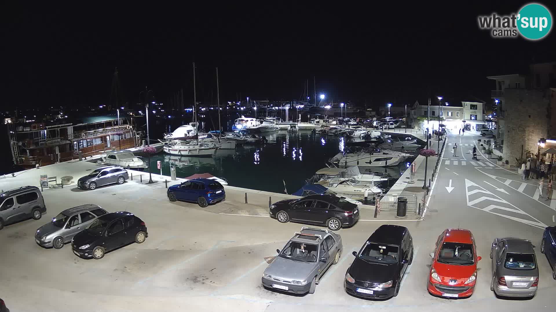 Novigrad | Porporela marina