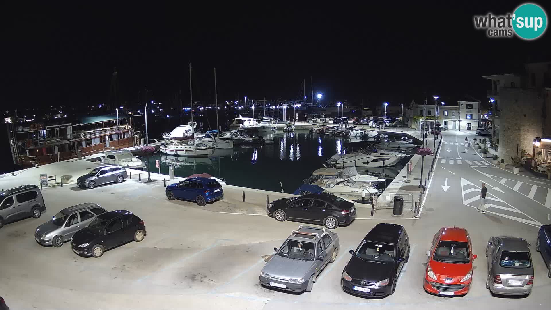 Novigrad | Porporela marina