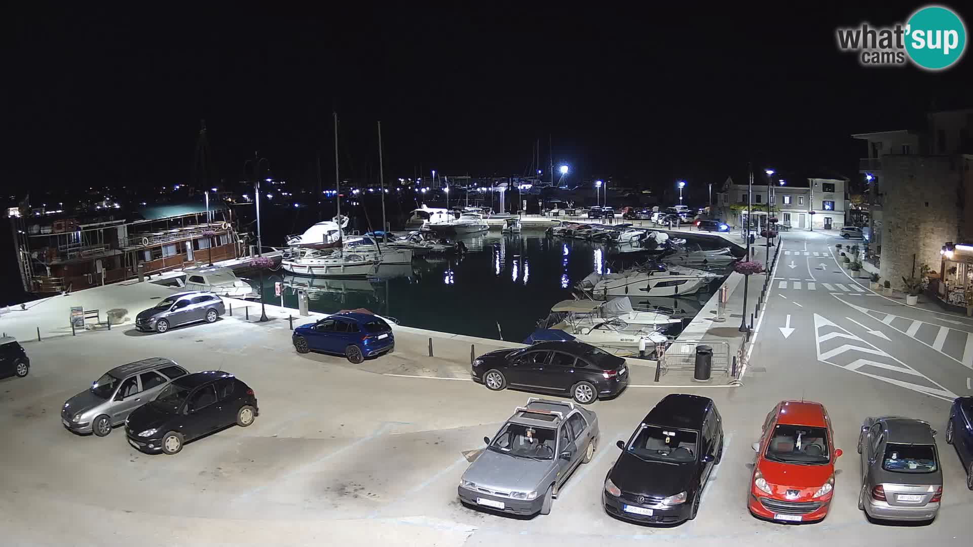 Novigrad | Porporela marina