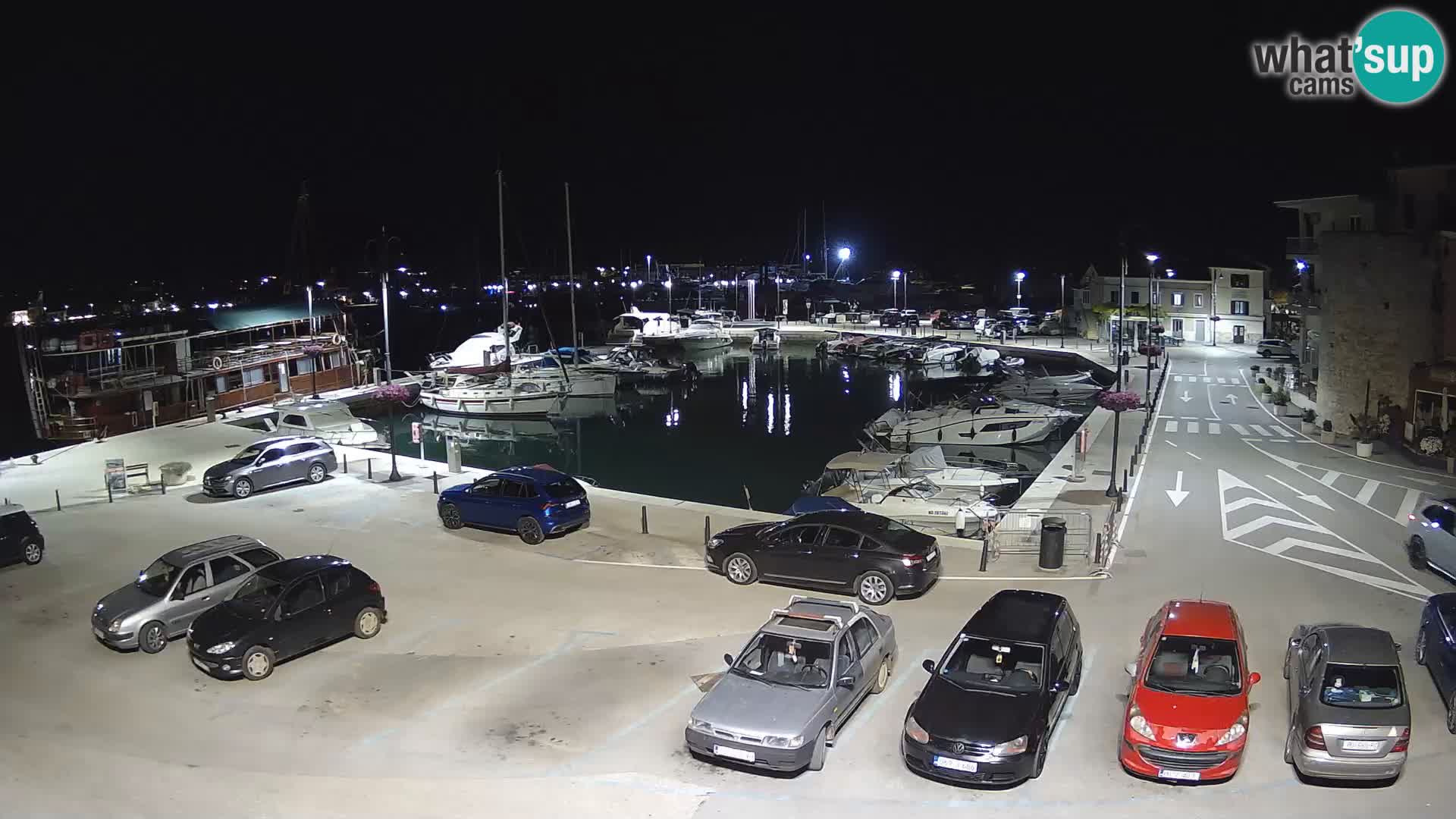 Novigrad | Porporela marina
