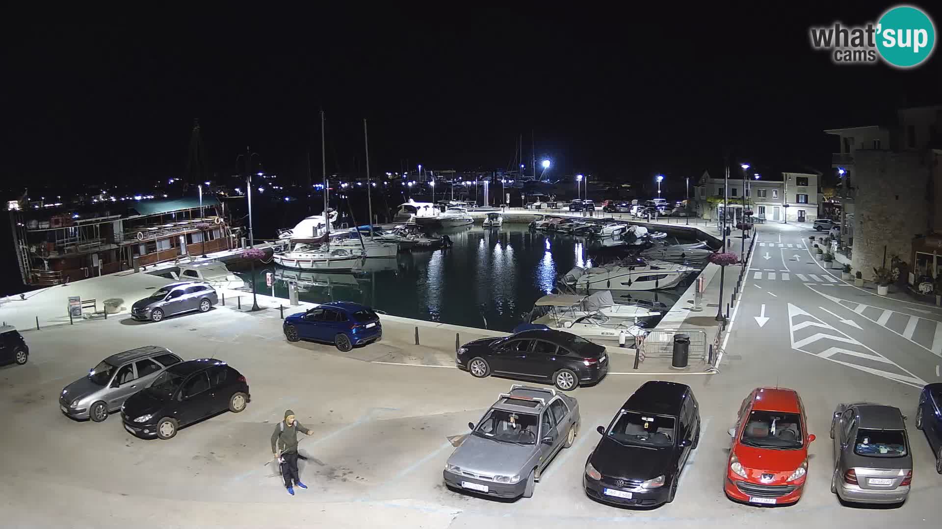 Novigrad | Porporela marina