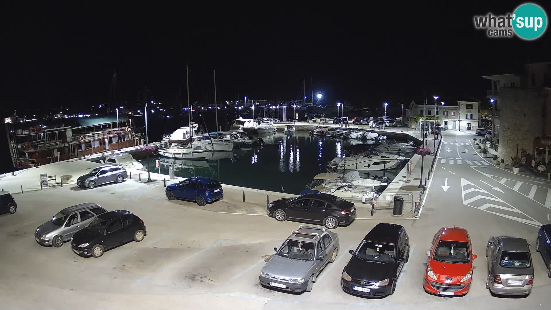 Novigrad | Porporela marina