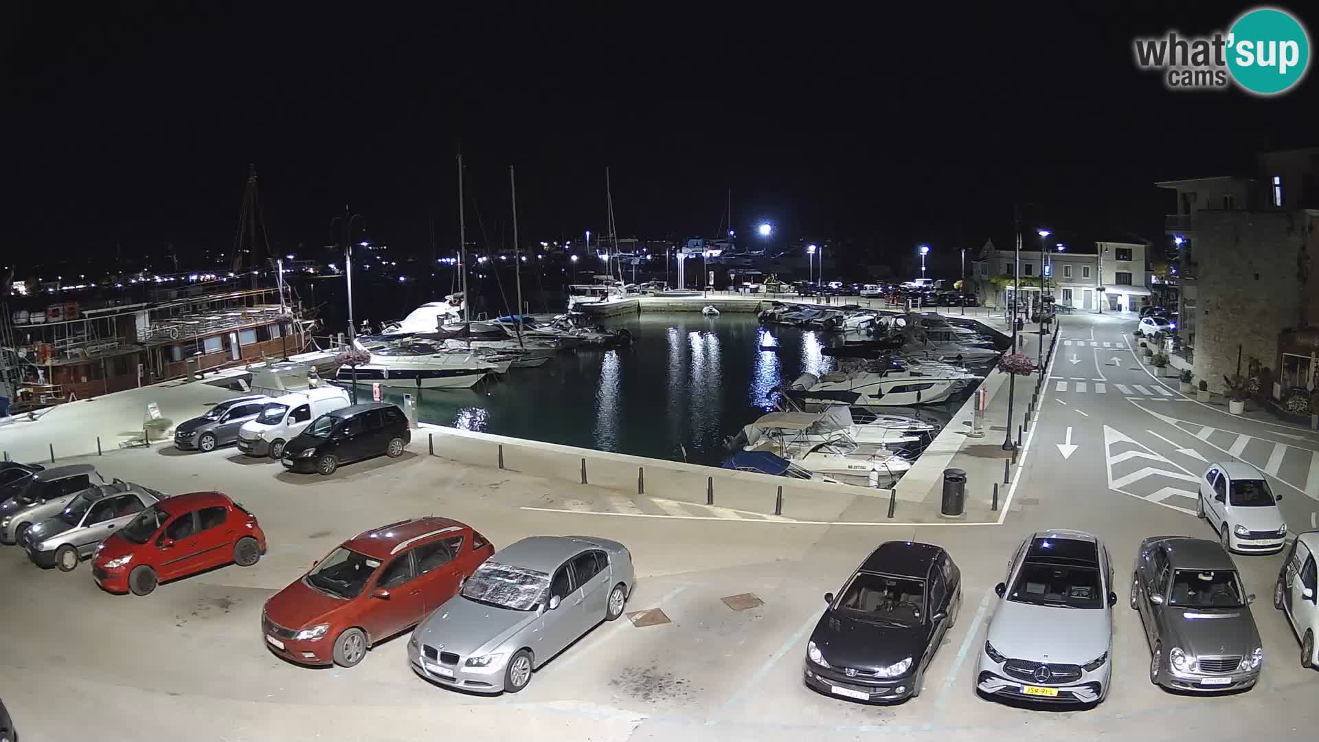 Novigrad | Porporela marina