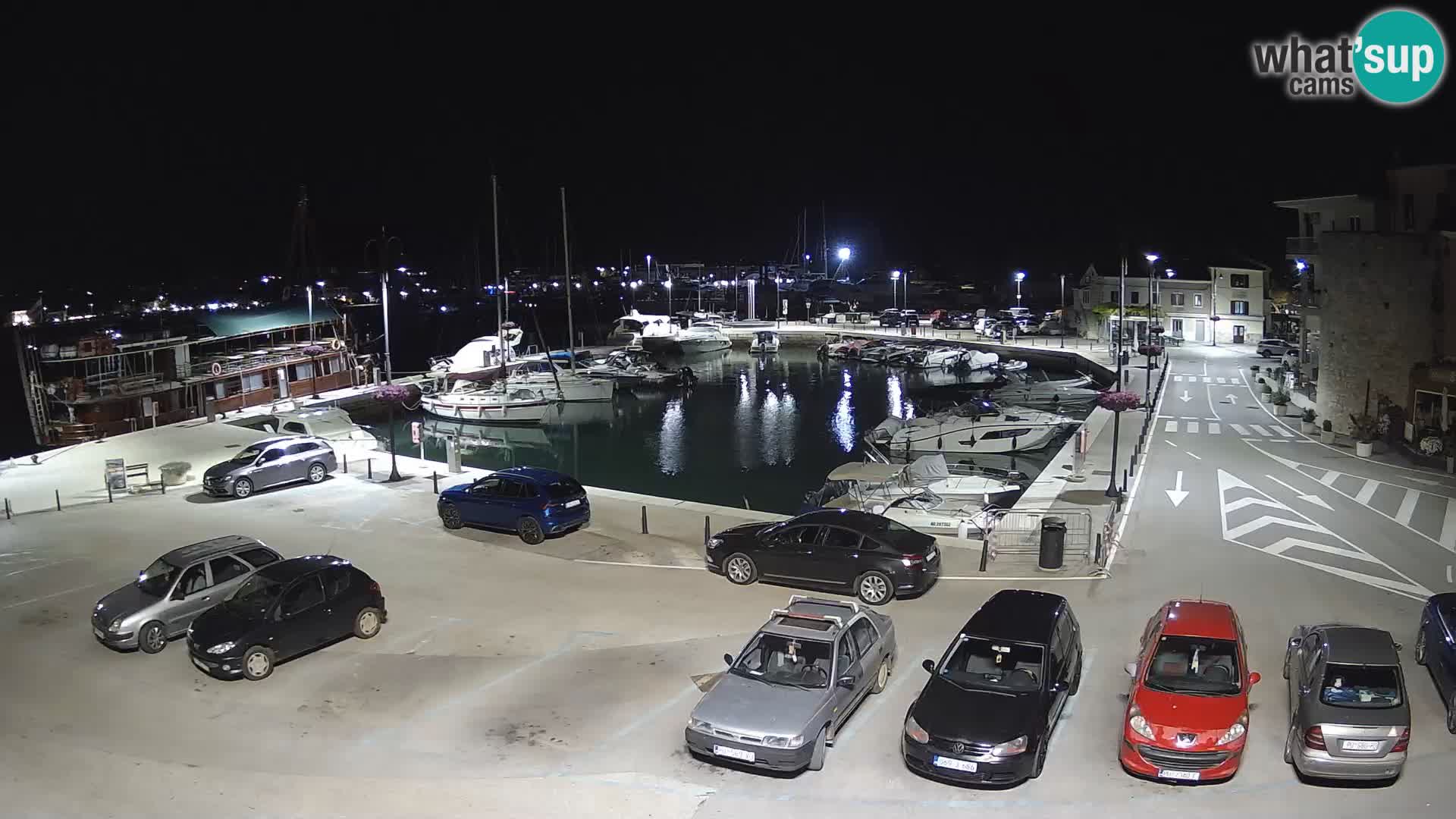 Novigrad | Porporela marina