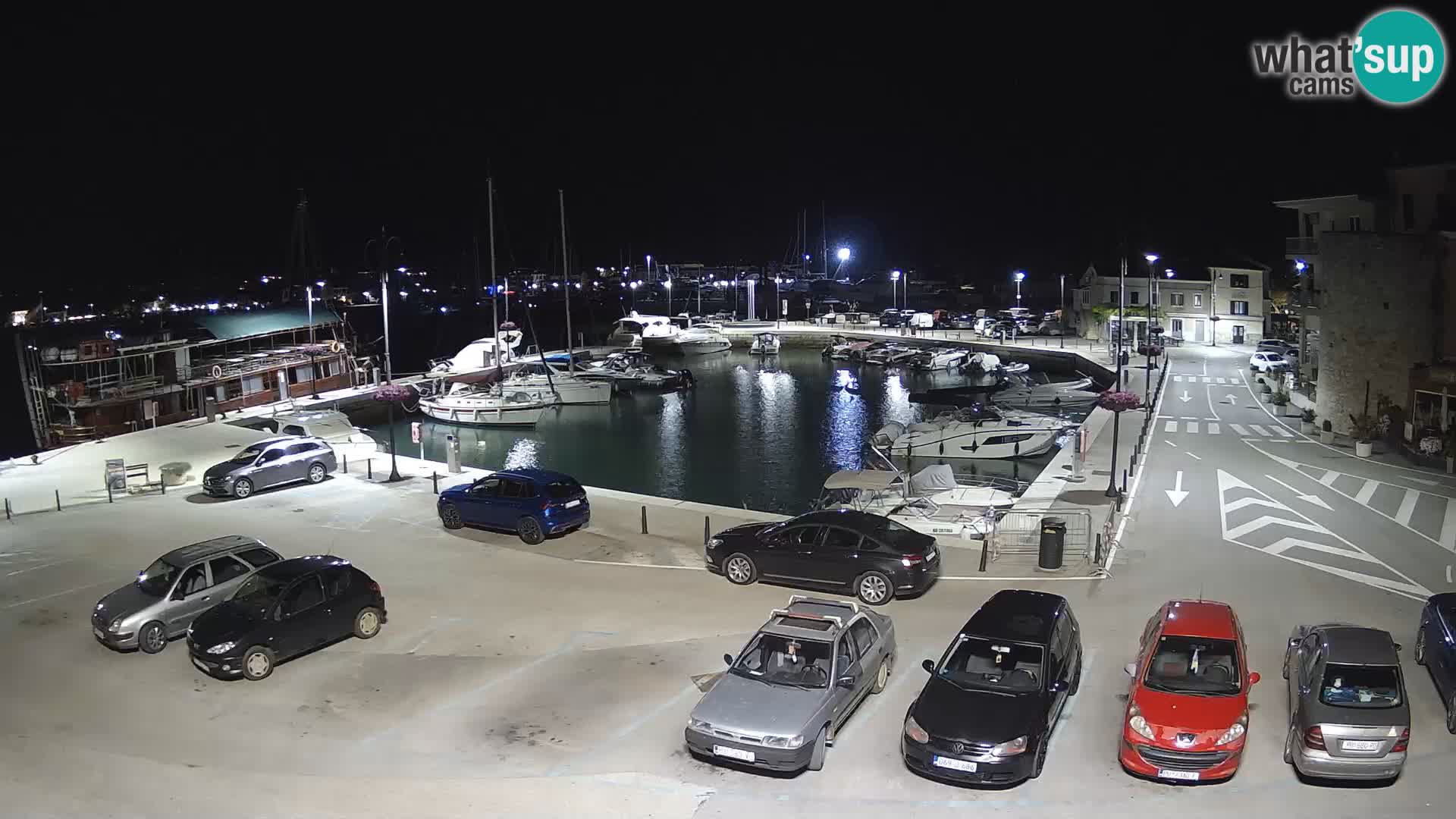Novigrad | Porporela marina