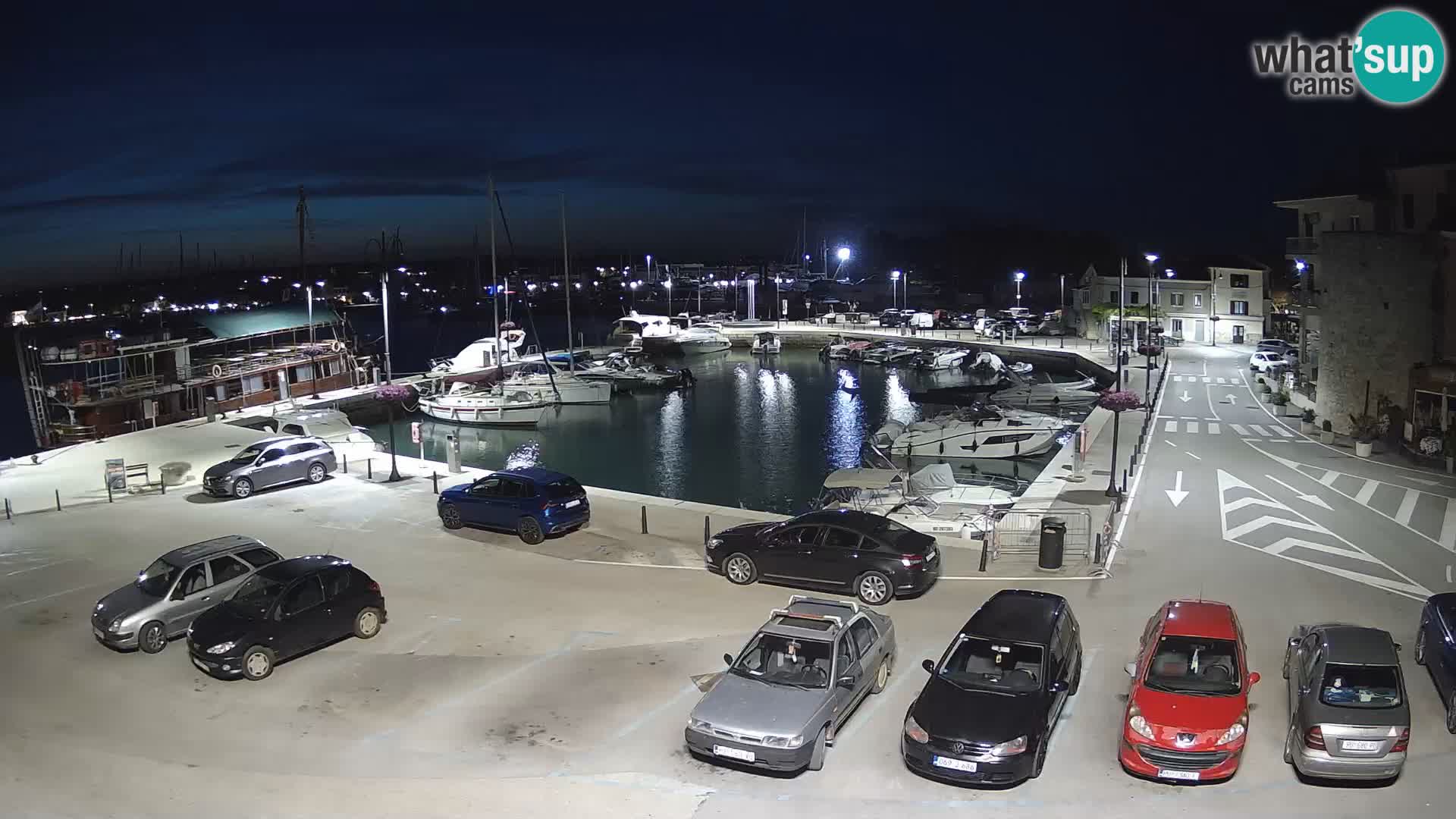Novigrad | Porporela marina